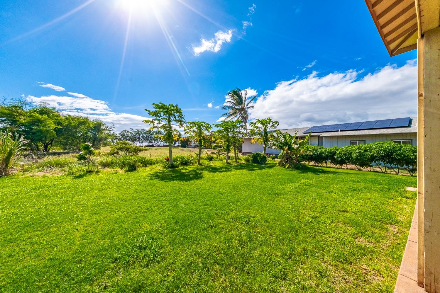296  Kenolio Rd , Kihei home - photo 43 of 50