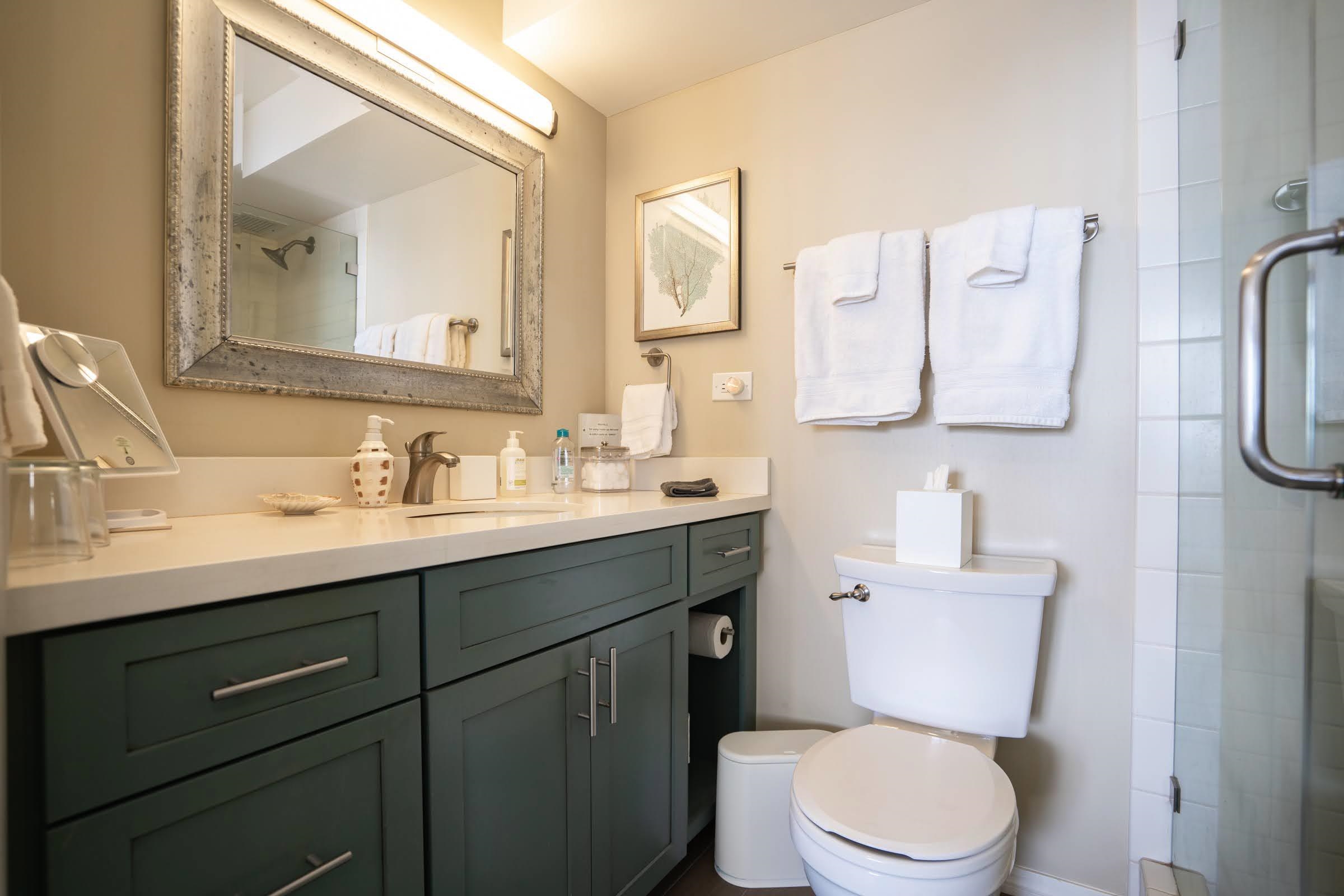 Mana Kai condo # 204, Kihei, Hawaii - photo 19 of 30