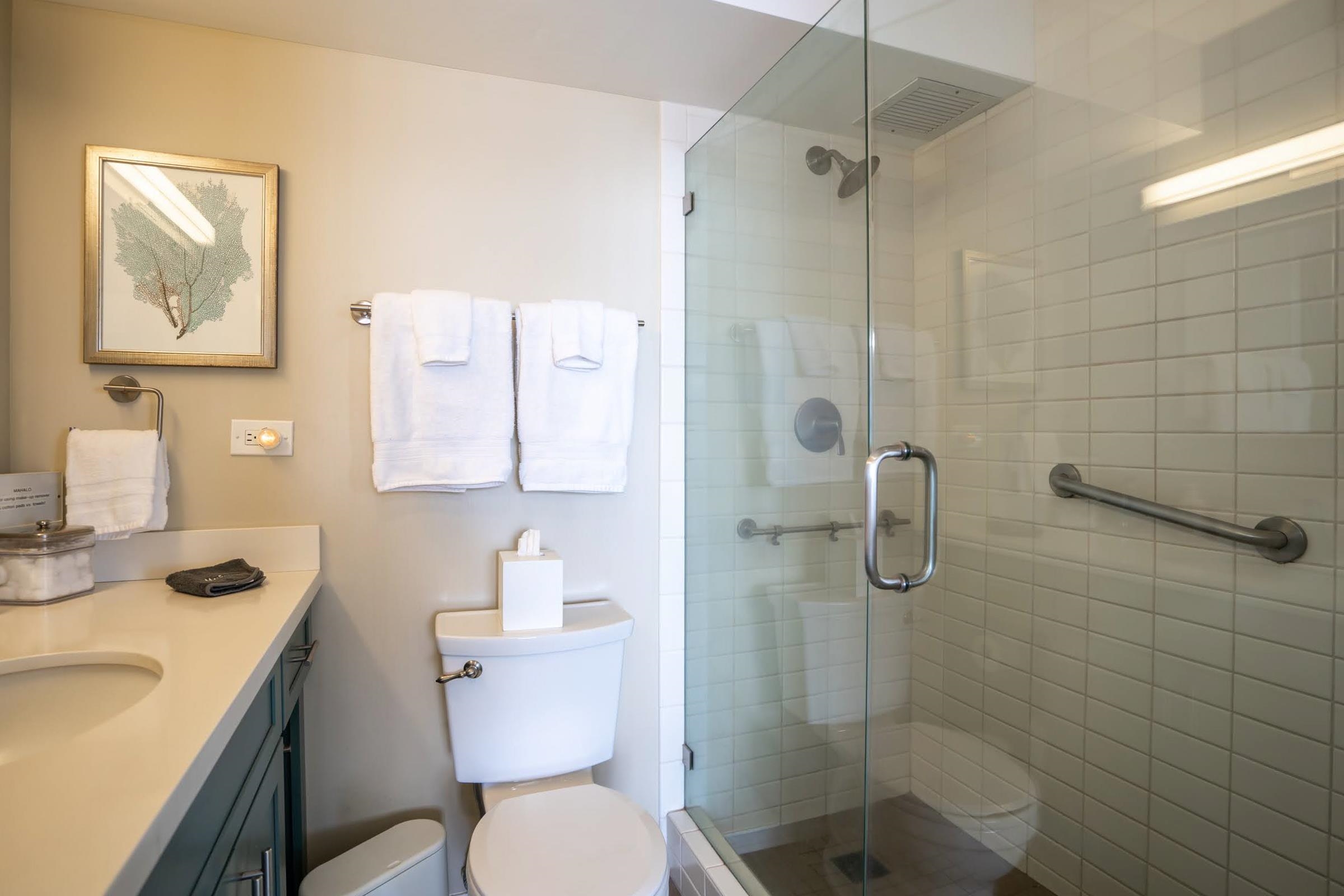 Mana Kai condo # 204, Kihei, Hawaii - photo 20 of 30