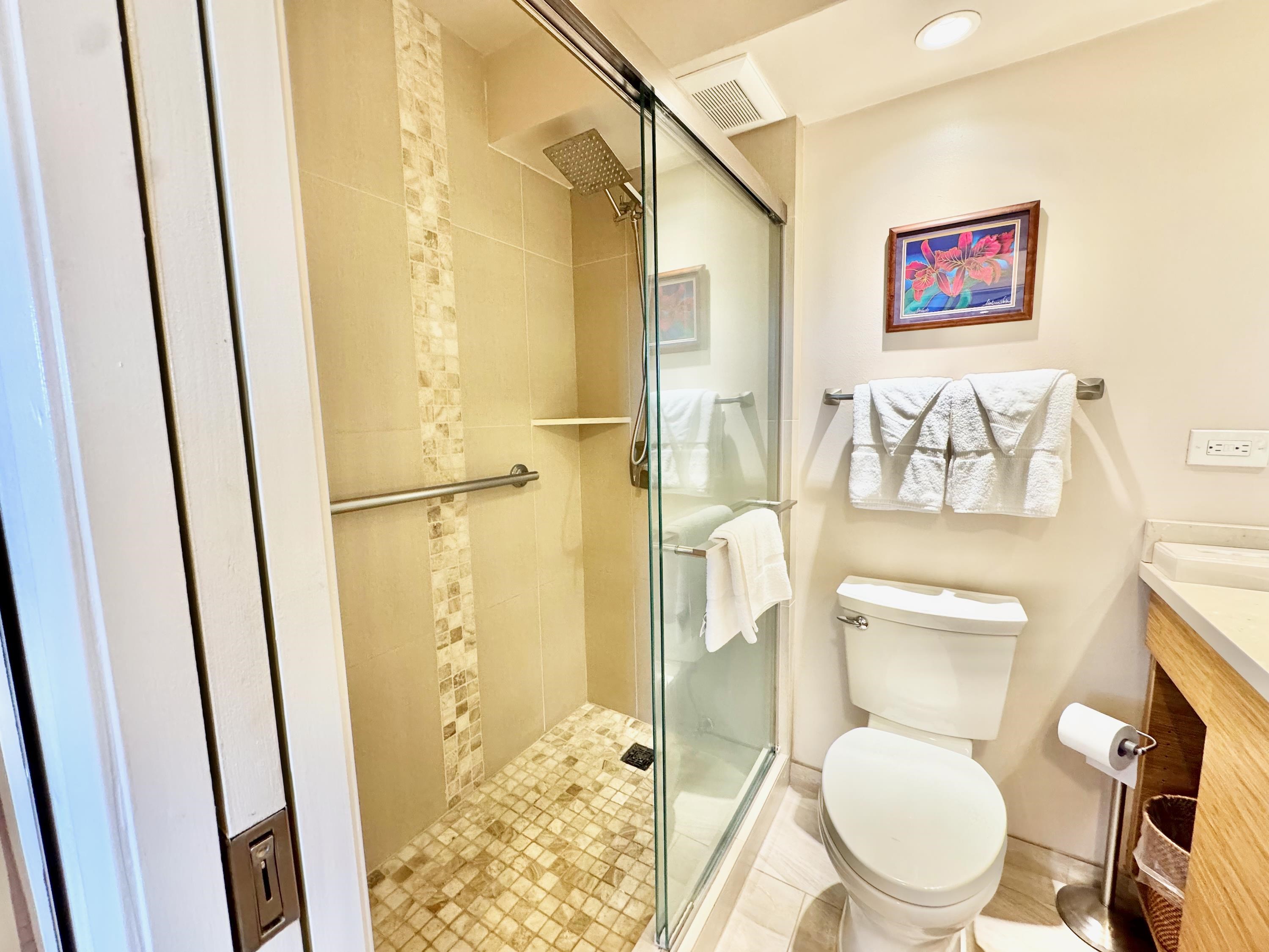 Mana Kai condo # 209, Kihei, Hawaii - photo 14 of 43