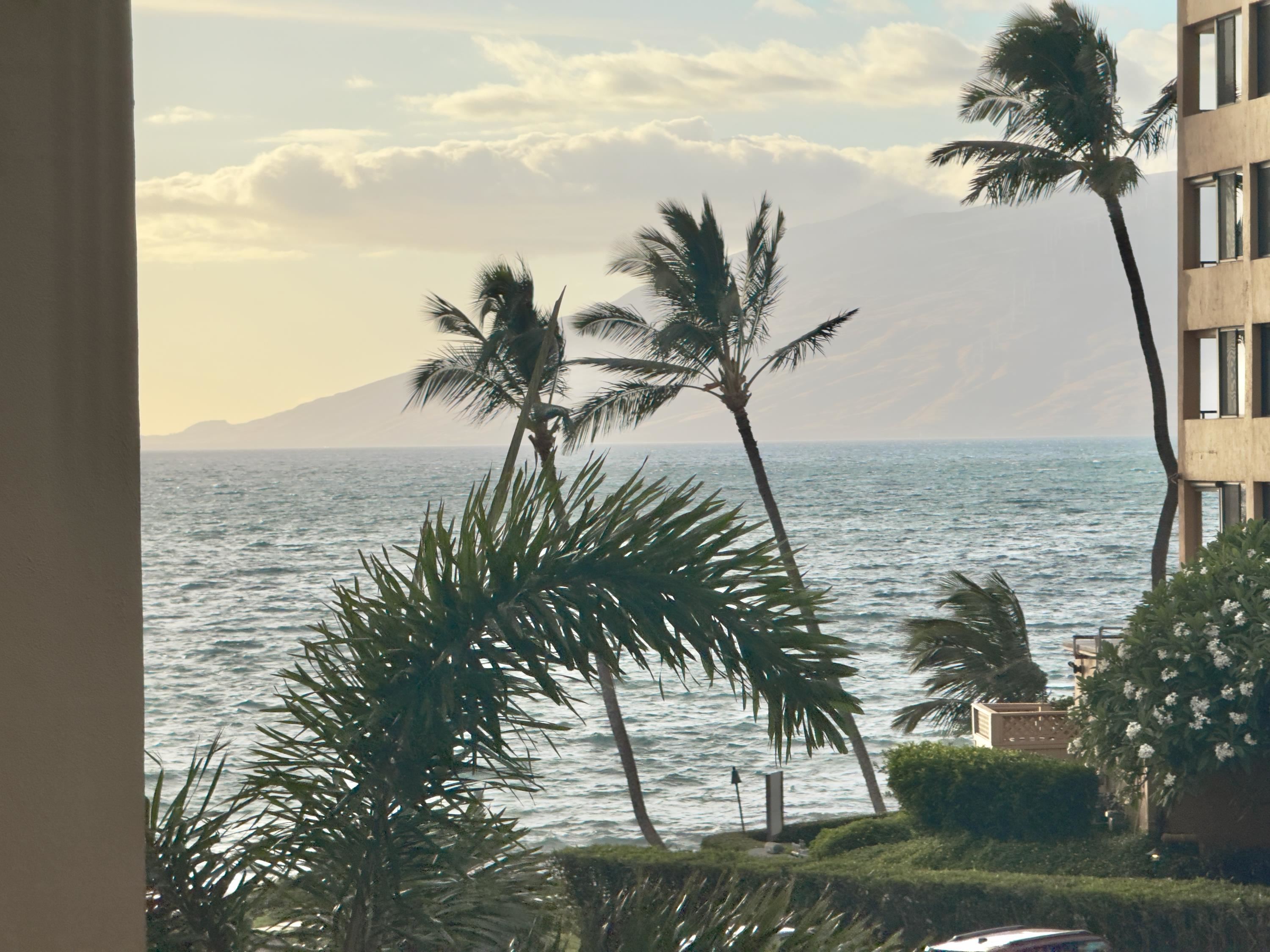 Mana Kai condo # 209, Kihei, Hawaii - photo 29 of 43
