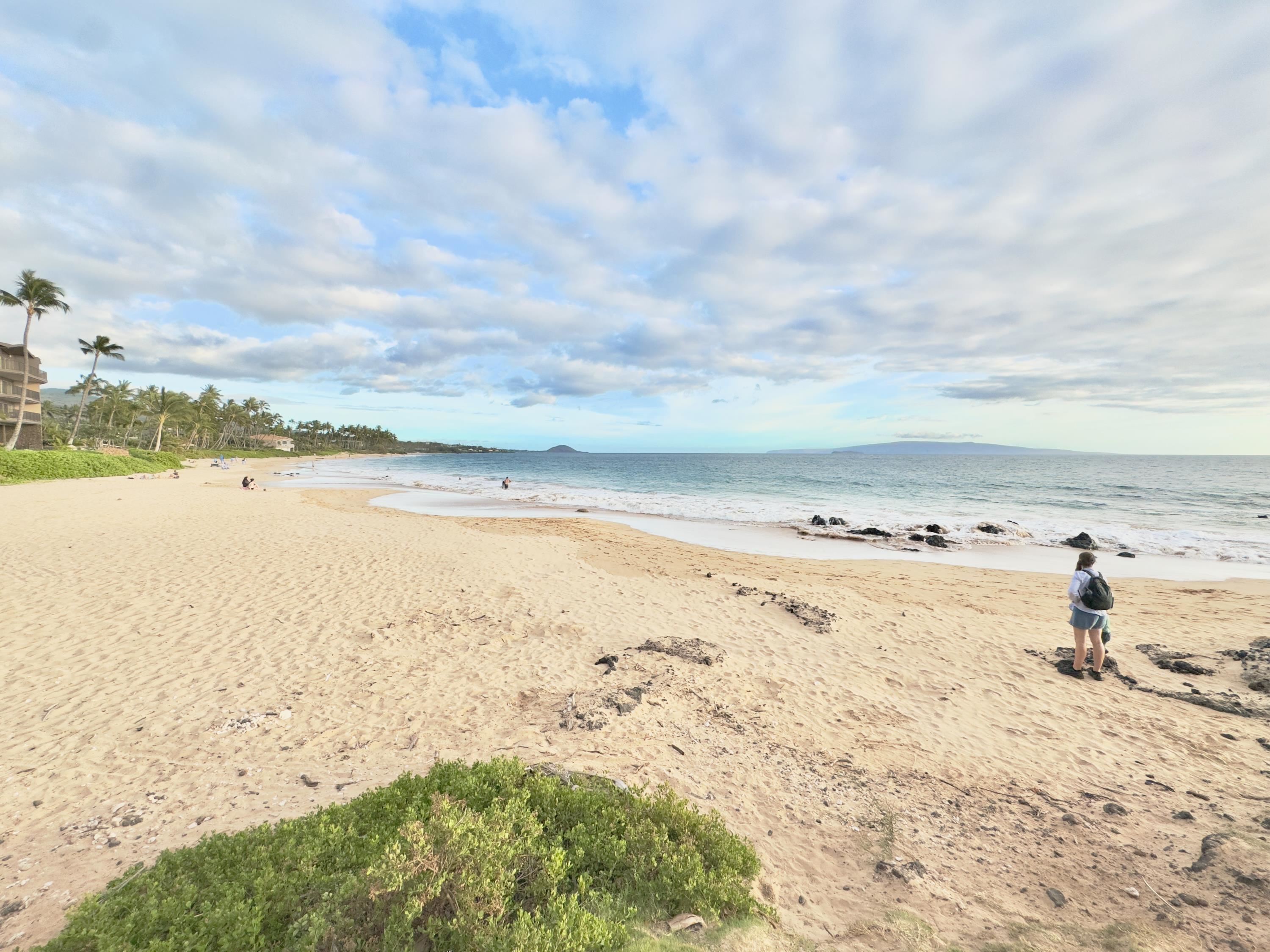 Mana Kai condo # 209, Kihei, Hawaii - photo 30 of 43