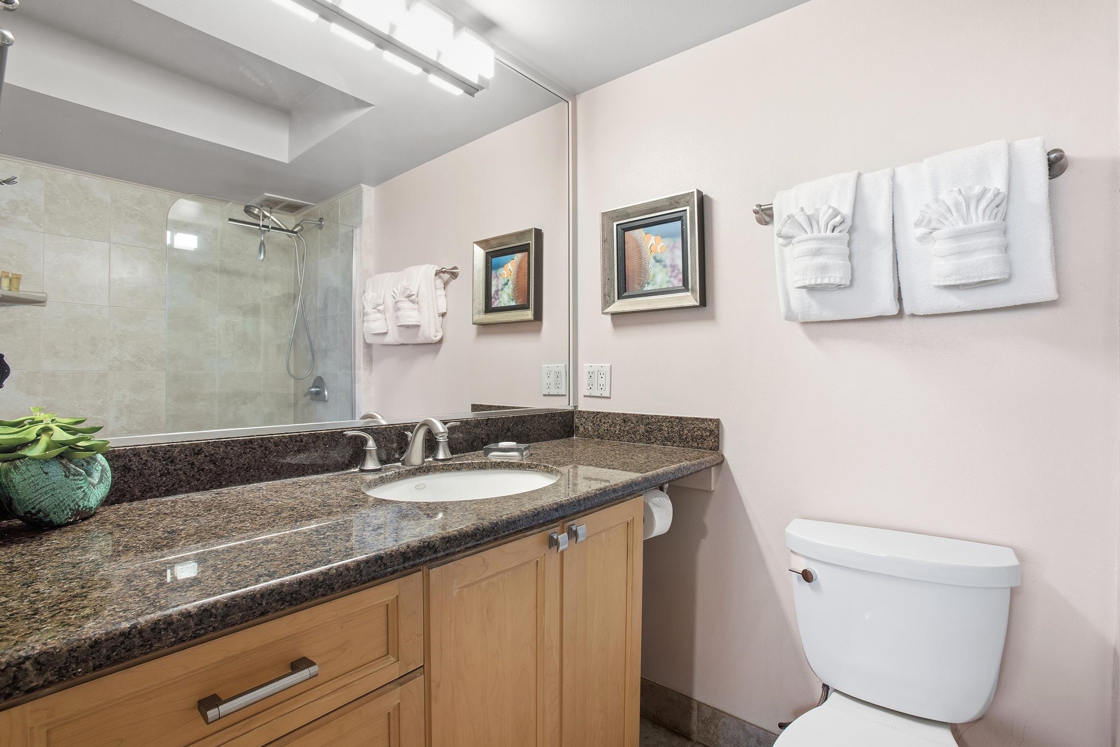 Mana Kai condo # 514, Kihei, Hawaii - photo 25 of 39