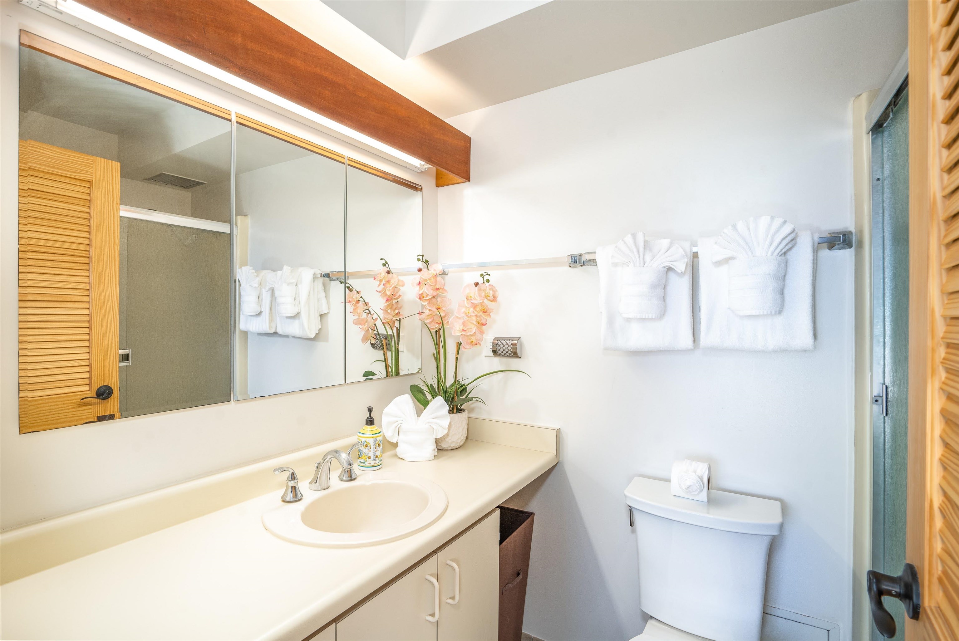 Mana Kai condo # 803, Kihei, Hawaii - photo 16 of 29