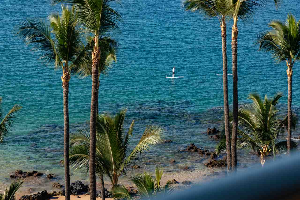 Mana Kai condo # 810, Kihei, Hawaii - photo 6 of 30