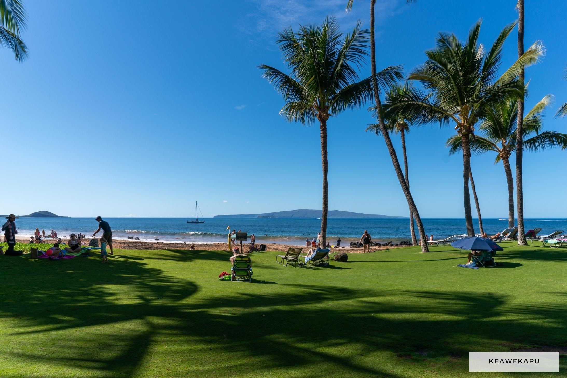 Mana Kai condo # 815, Kihei, Hawaii - photo 23 of 30
