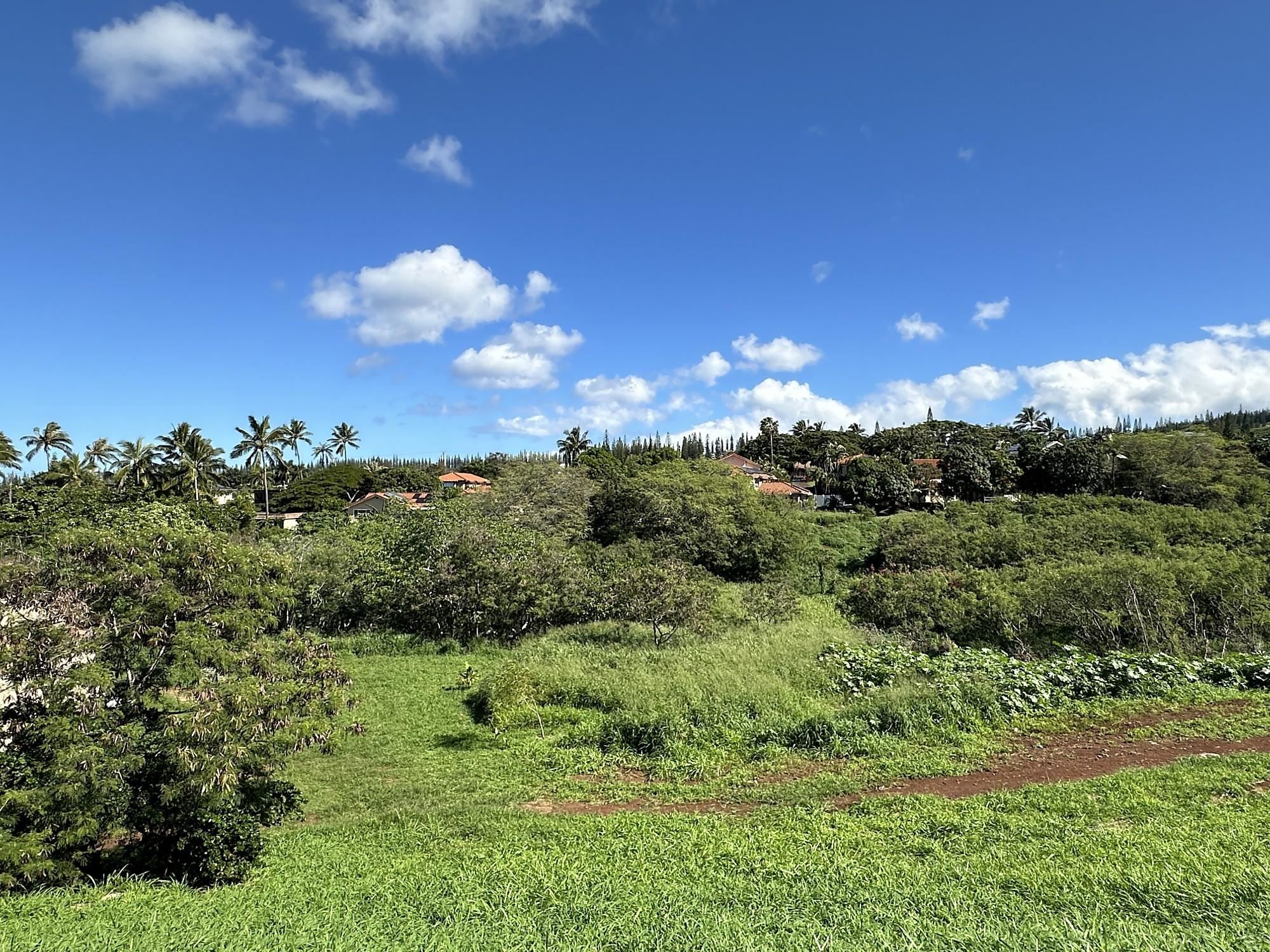 298 Hui F Rd  Lahaina, Hi vacant land for sale - photo 2 of 16