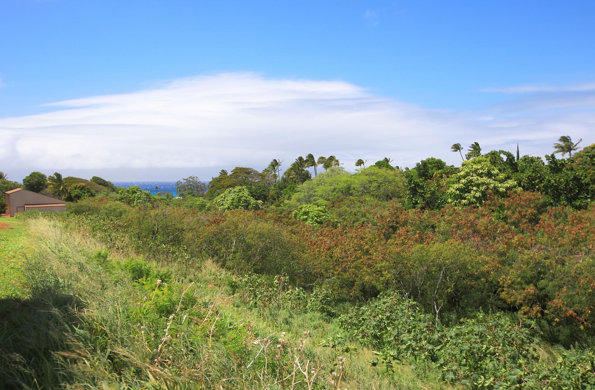 298 Hui F Rd  Lahaina, Hi vacant land for sale - photo 13 of 16