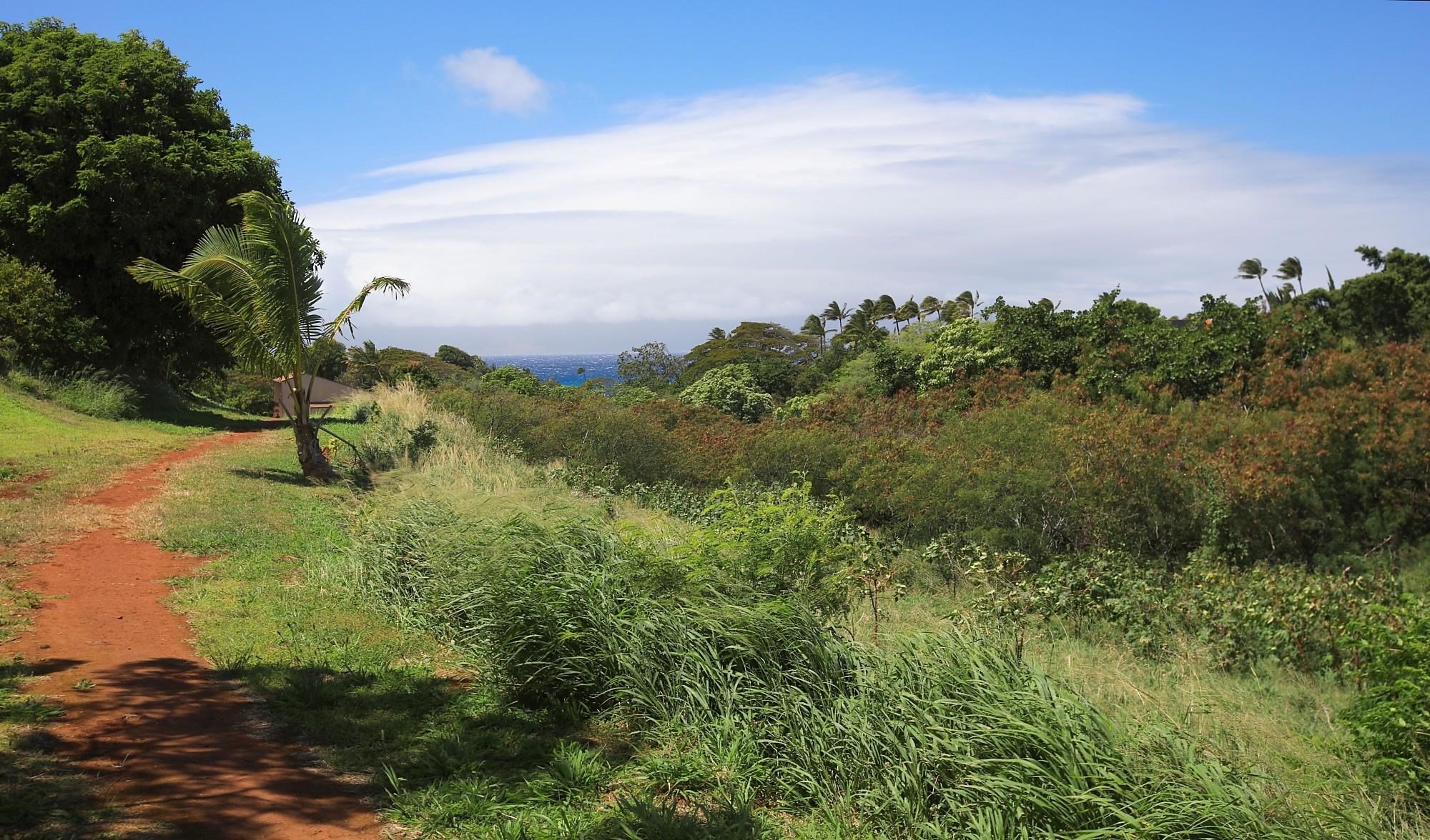 298 Hui F Rd  Lahaina, Hi vacant land for sale - photo 14 of 16