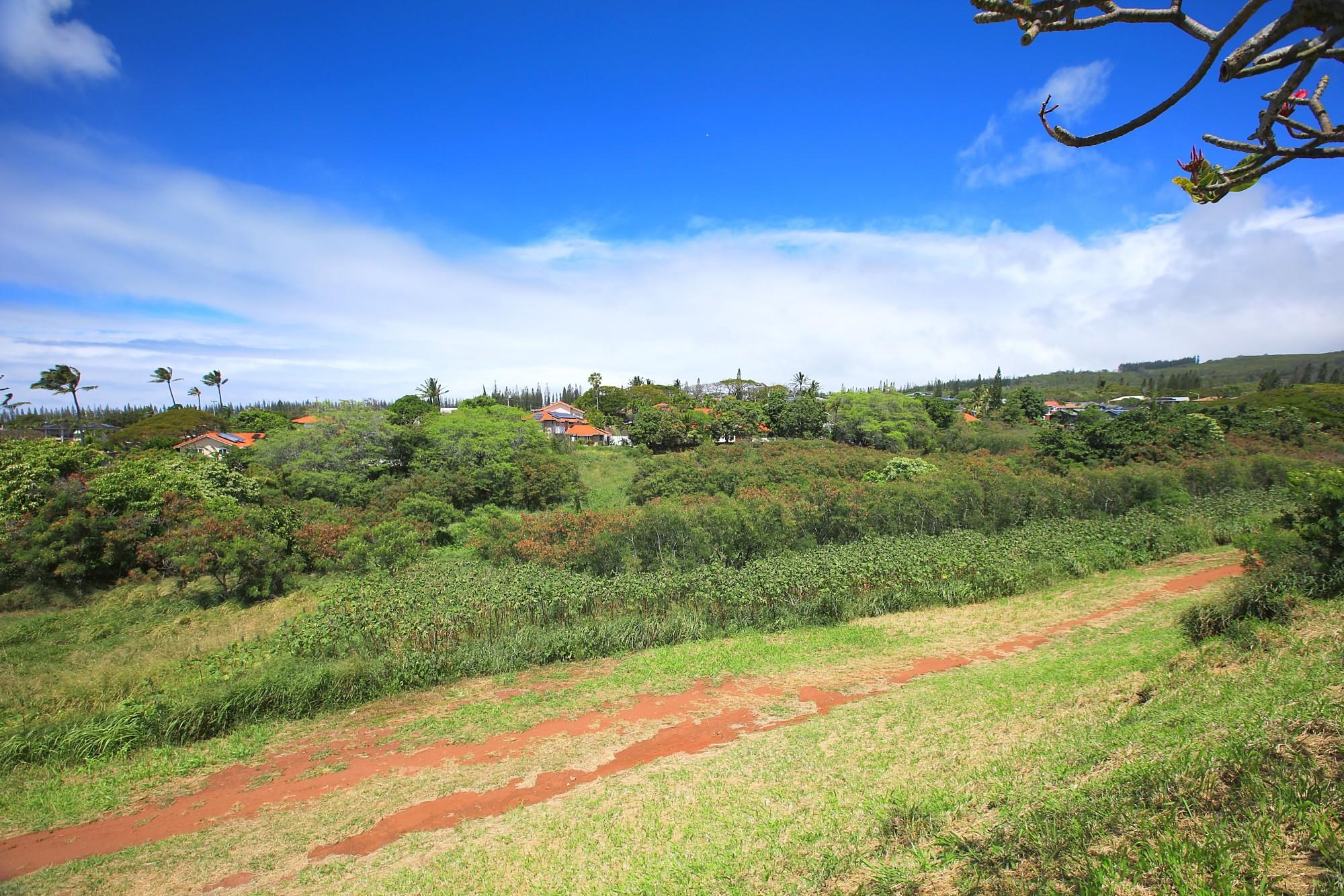 298 Hui F Rd  Lahaina, Hi vacant land for sale - photo 15 of 16