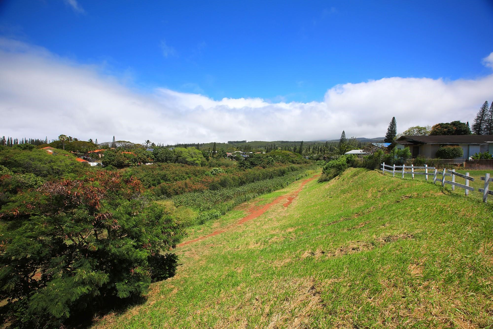 298 Hui F Rd  Lahaina, Hi vacant land for sale - photo 16 of 16