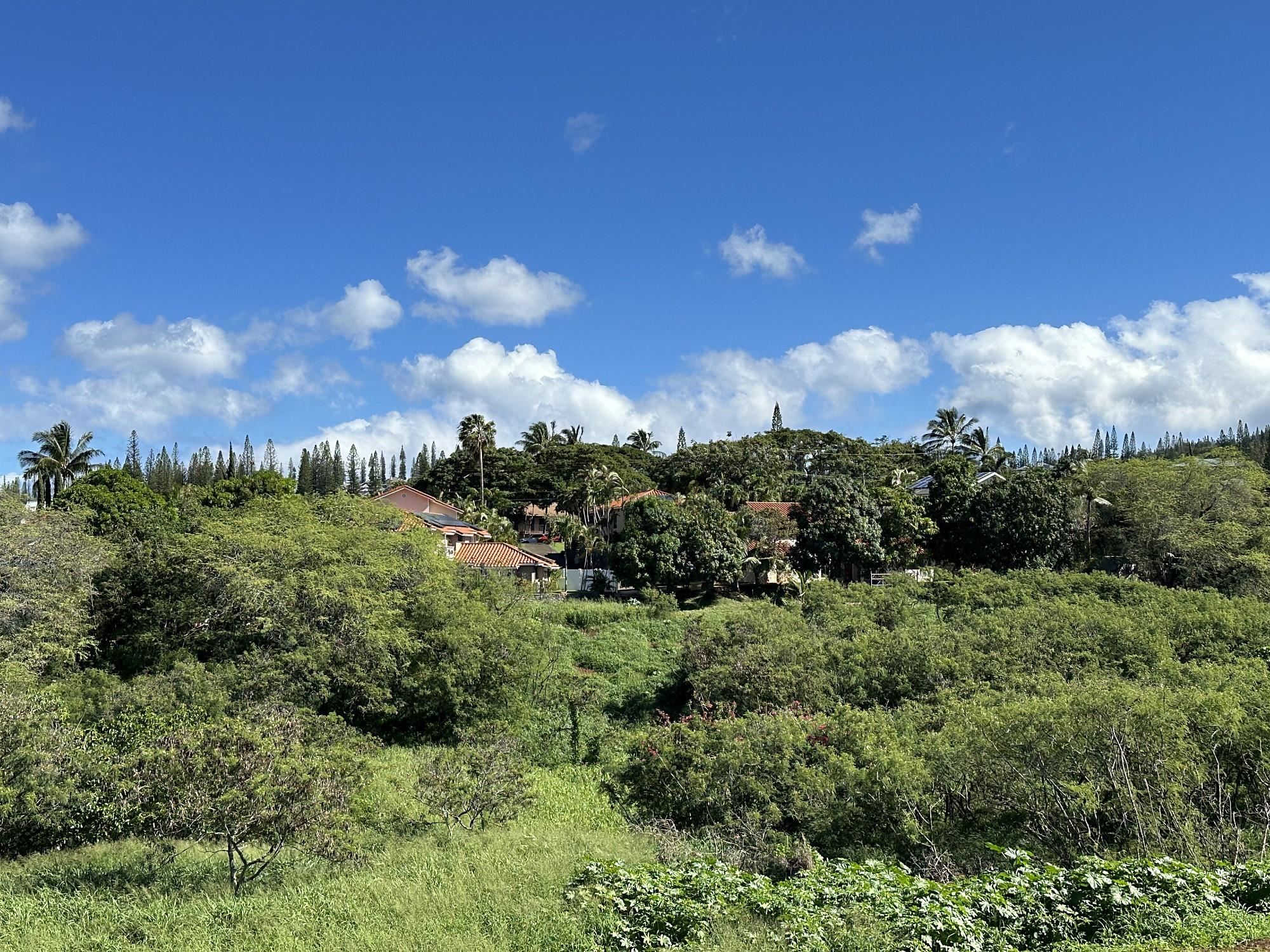 298 Hui F Rd  Lahaina, Hi vacant land for sale - photo 4 of 16