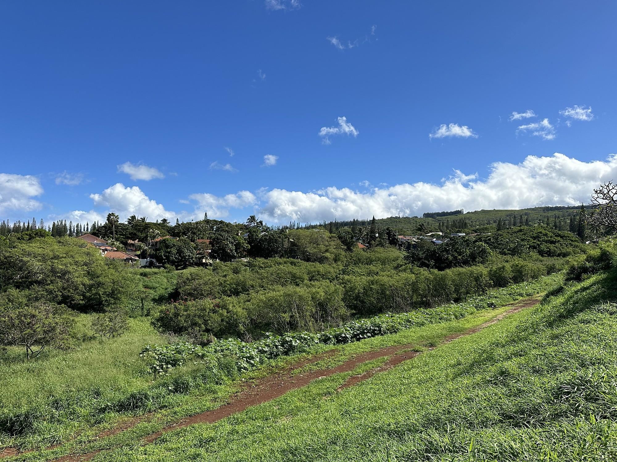 298 Hui F Rd  Lahaina, Hi vacant land for sale - photo 6 of 16