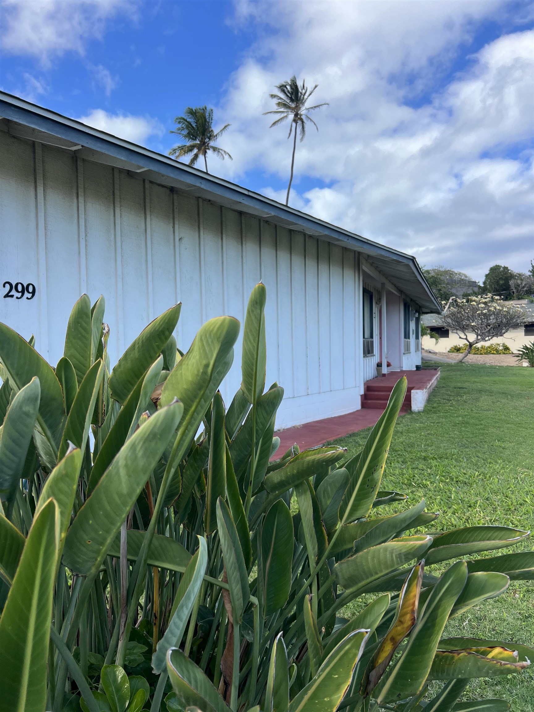 299  Liholiho St Puuone, Wailuku home - photo 2 of 28