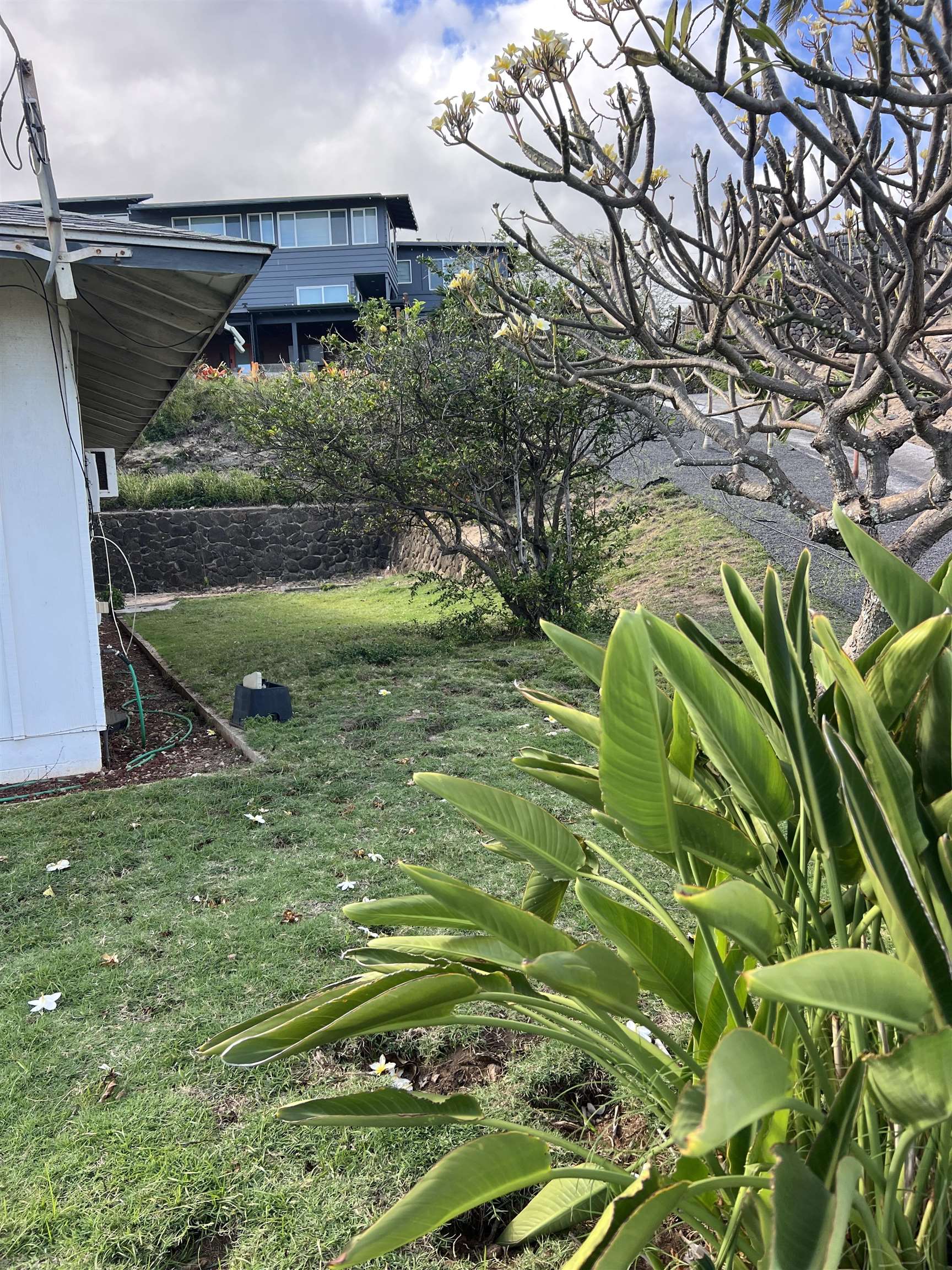 299  Liholiho St Puuone, Wailuku home - photo 21 of 28