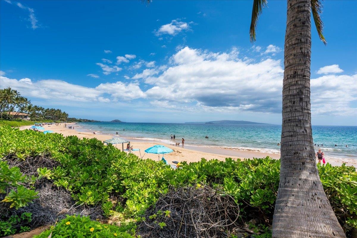 Hale Hui Kai condo # 106, Kihei, Hawaii - photo 42 of 50
