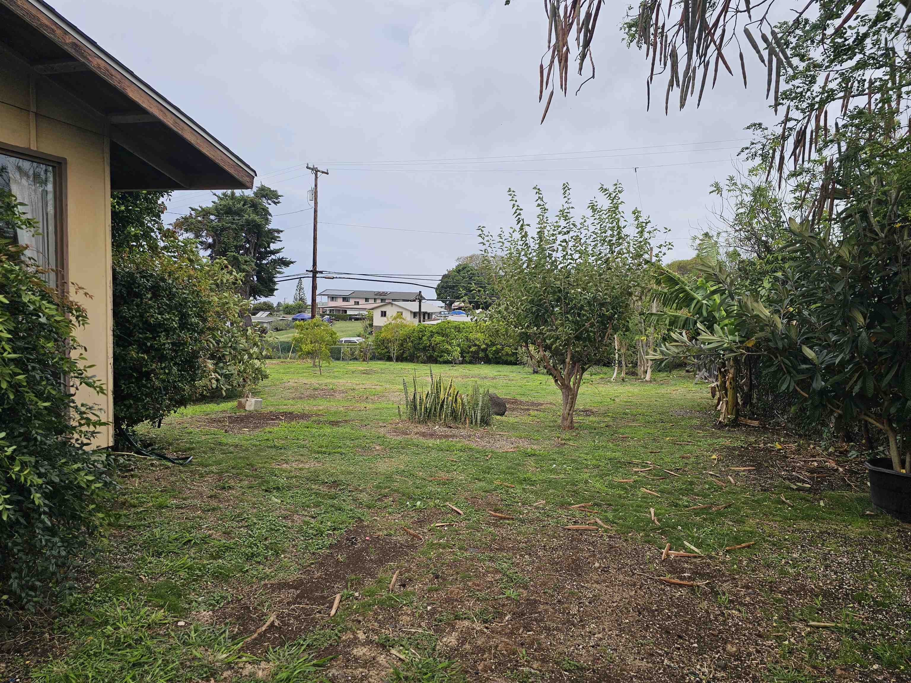 2A  Kilakila Pl , Pukalani home - photo 14 of 19