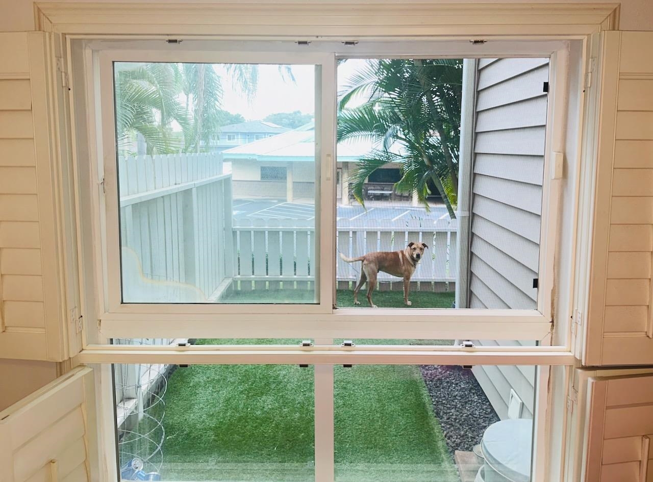 Kahului Ikena condo # 114, Kahului, Hawaii - photo 22 of 50