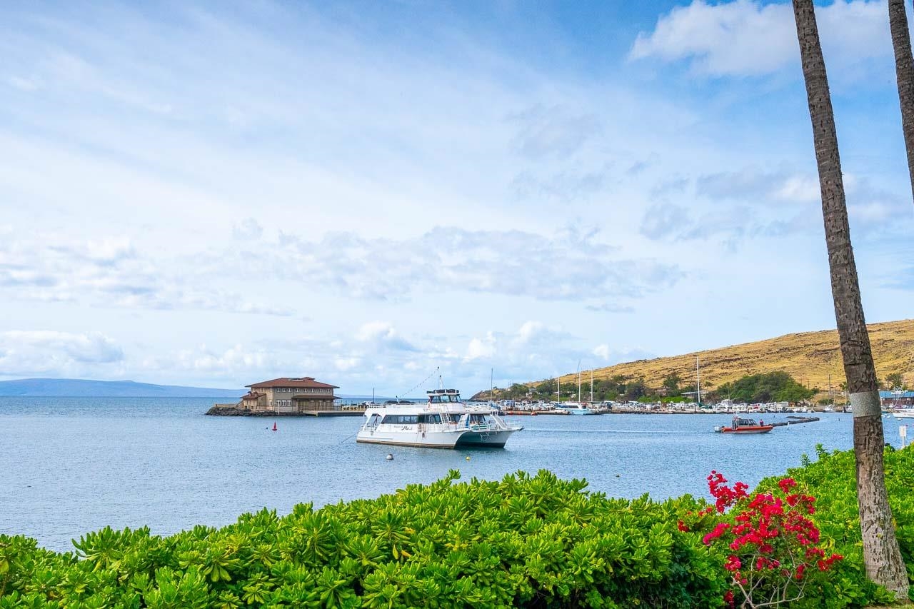 Maalaea Yacht Marina condo # 212, Wailuku, Hawaii - photo 2 of 16