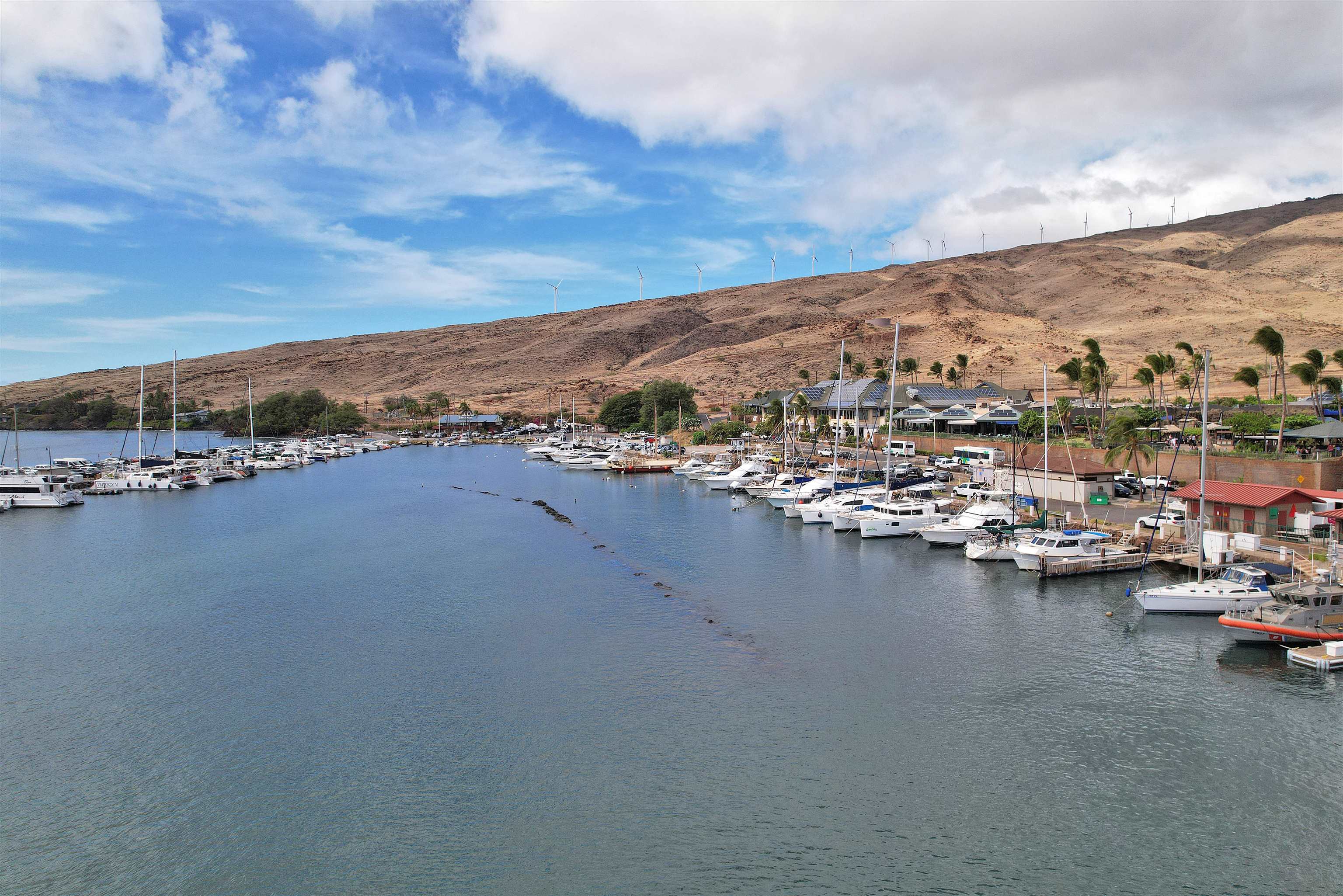 Maalaea Yacht Marina condo # 304, Wailuku, Hawaii - photo 35 of 50