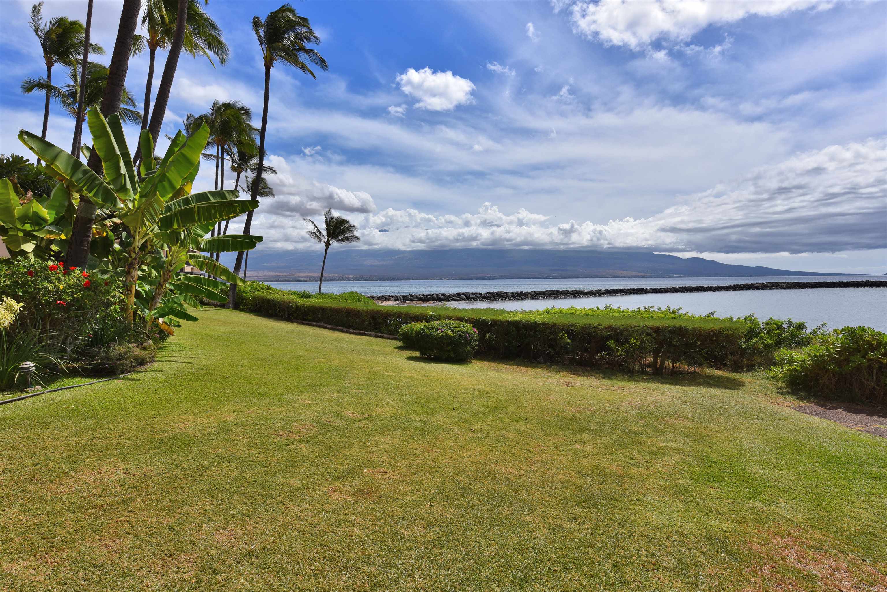 Maalaea Yacht Marina condo # 304, Wailuku, Hawaii - photo 42 of 50