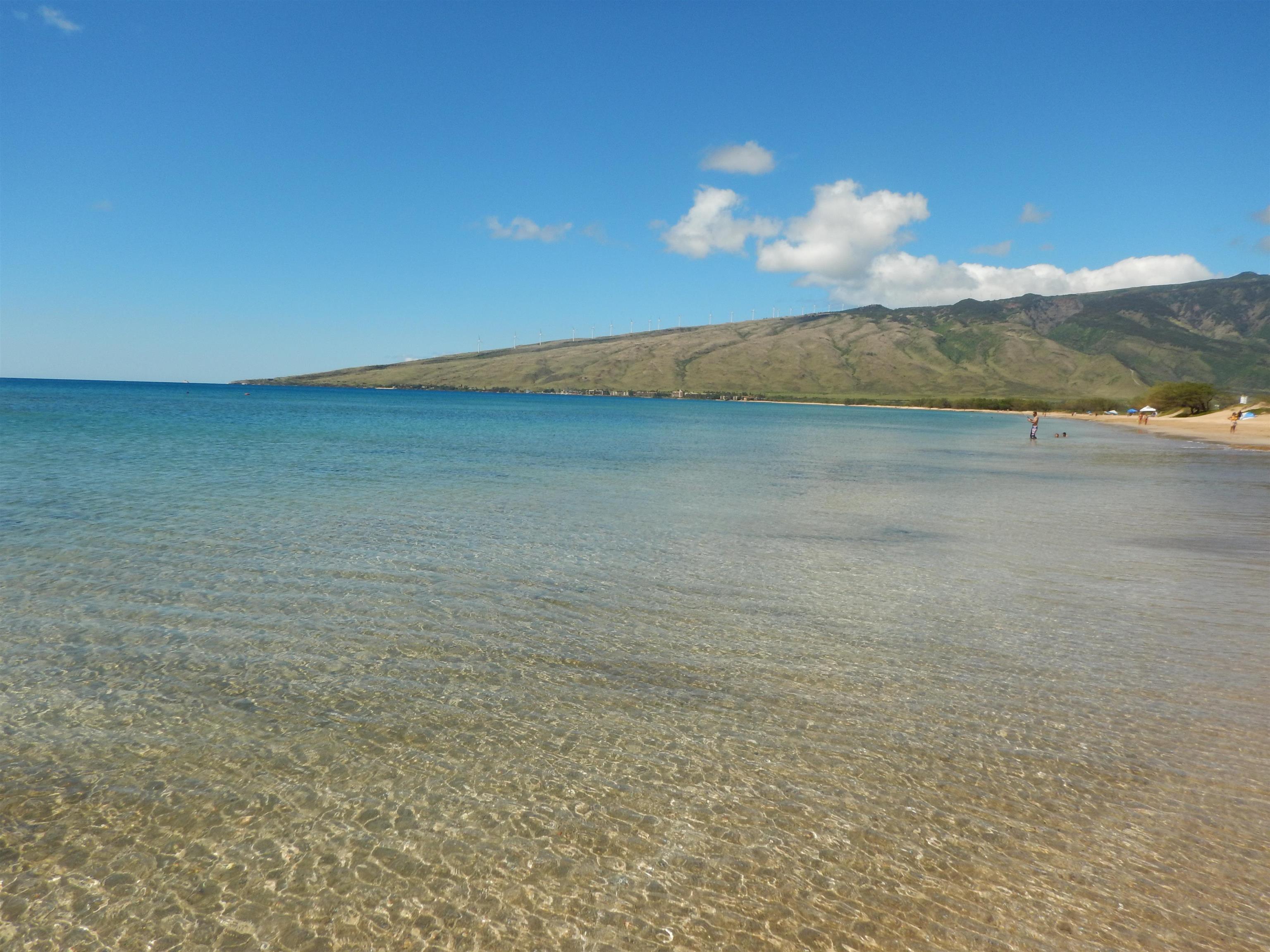 Maalaea Yacht Marina condo # 310, Wailuku, Hawaii - photo 3 of 34