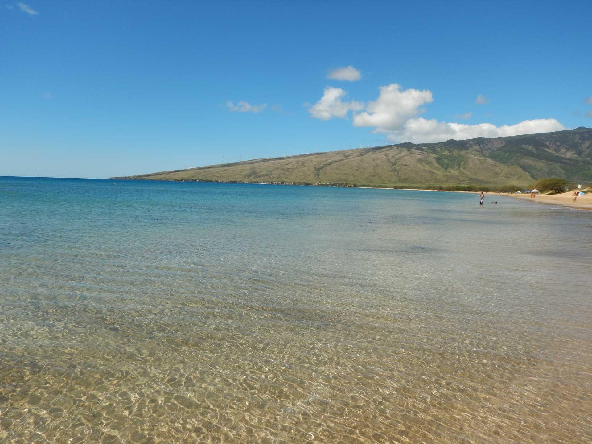 Maalaea Yacht Marina condo # #310, Wailuku, Hawaii - photo 29 of 32