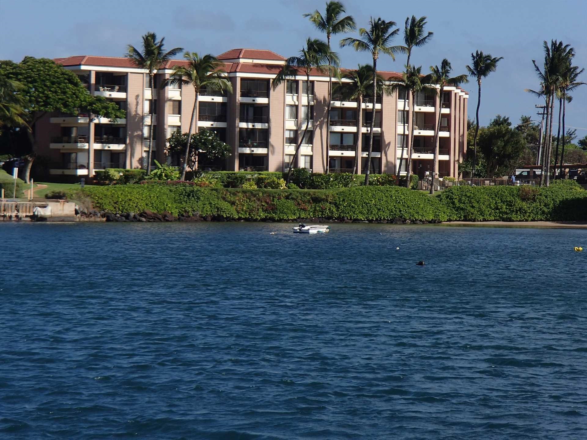 Maalaea Yacht Marina condo # #310, Wailuku, Hawaii - photo 31 of 32