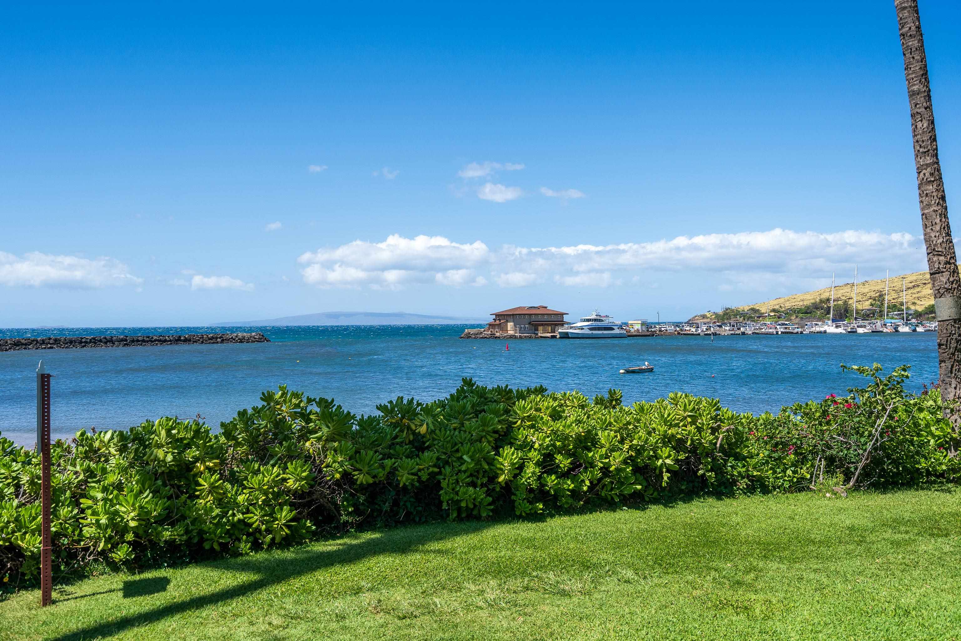 Maalaea Yacht Marina condo # 410, Wailuku, Hawaii - photo 22 of 28