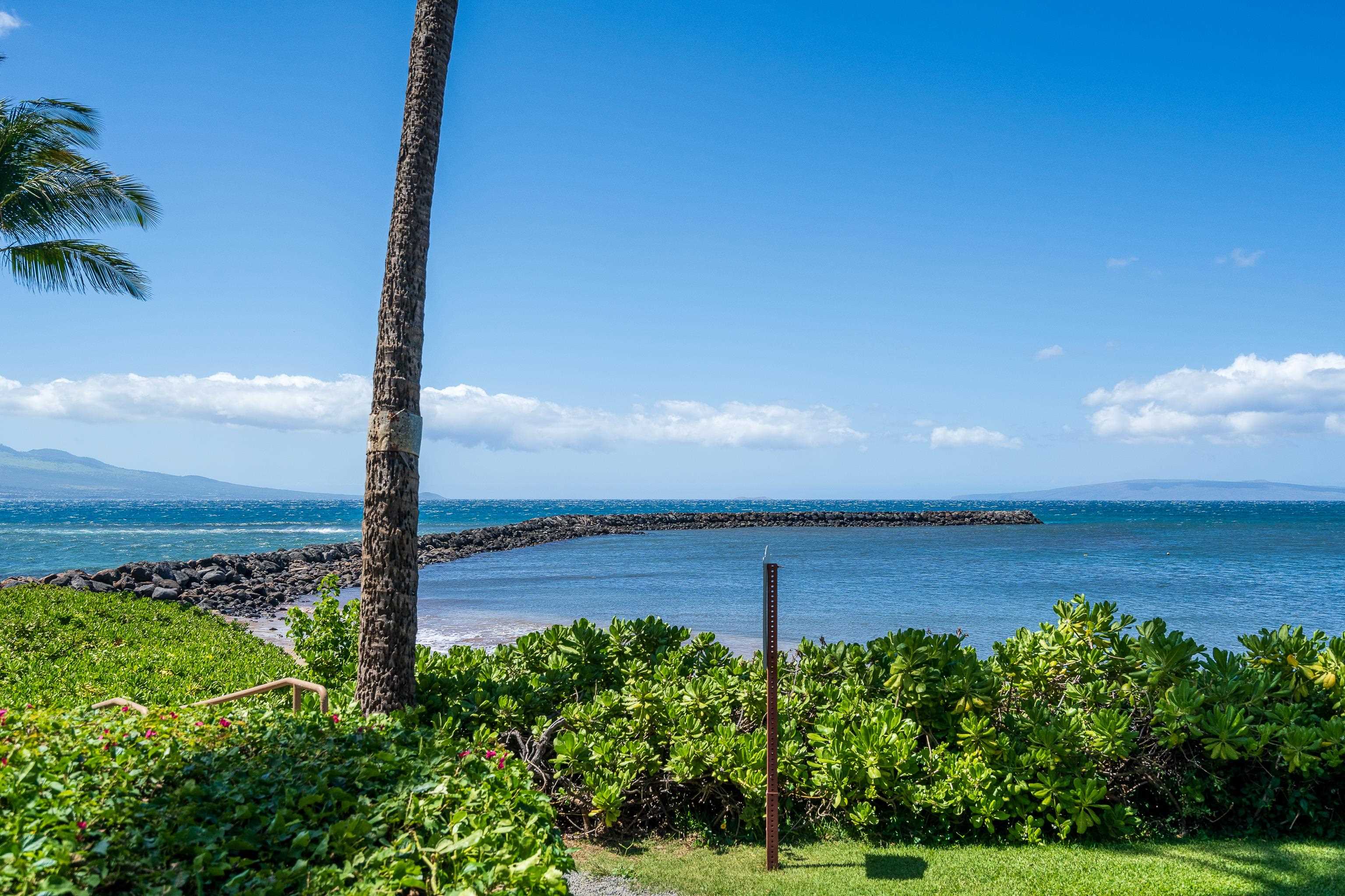 Maalaea Yacht Marina condo # 410, Wailuku, Hawaii - photo 23 of 28