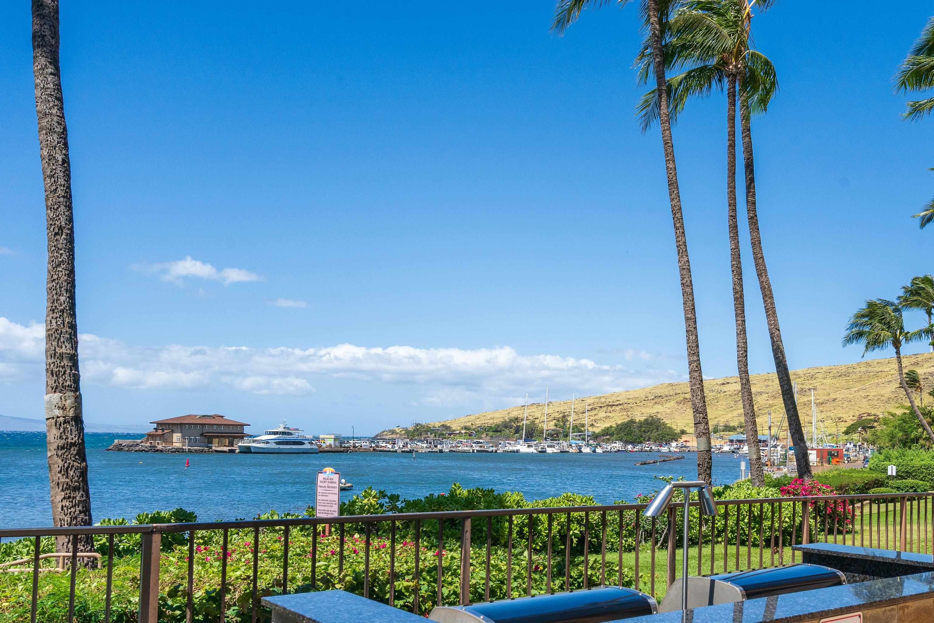 Maalaea Yacht Marina condo # 410, Wailuku, Hawaii - photo 27 of 28