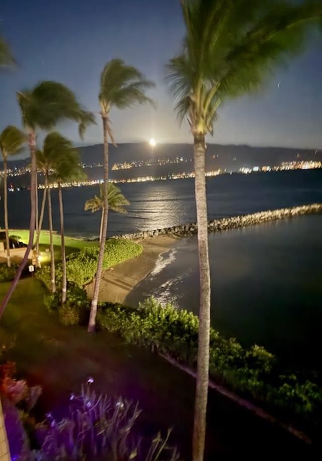 Maalaea Yacht Marina condo # 410, Wailuku, Hawaii - photo 29 of 30