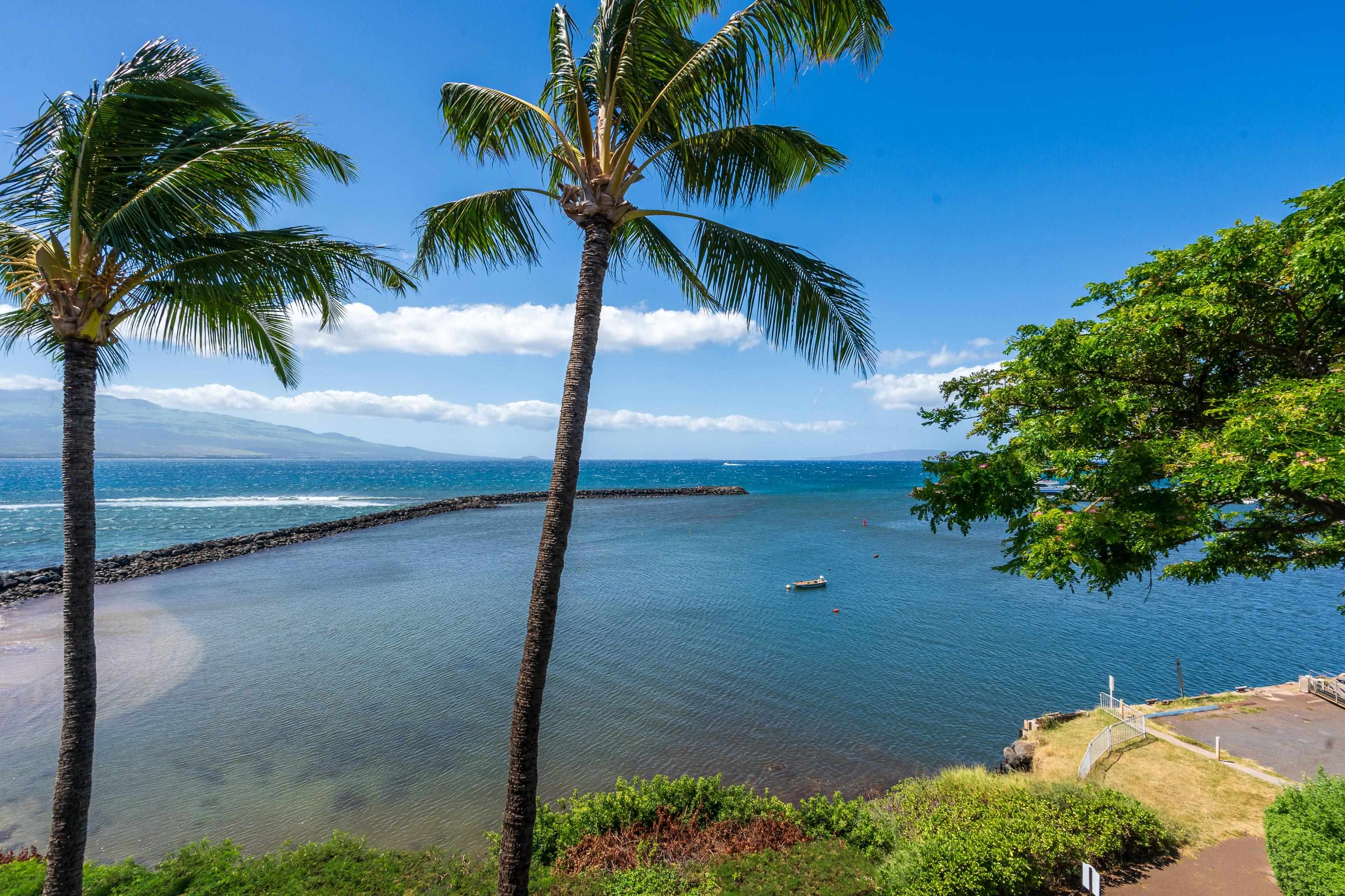 Maalaea Yacht Marina condo # 410, Wailuku, Hawaii - photo 5 of 28