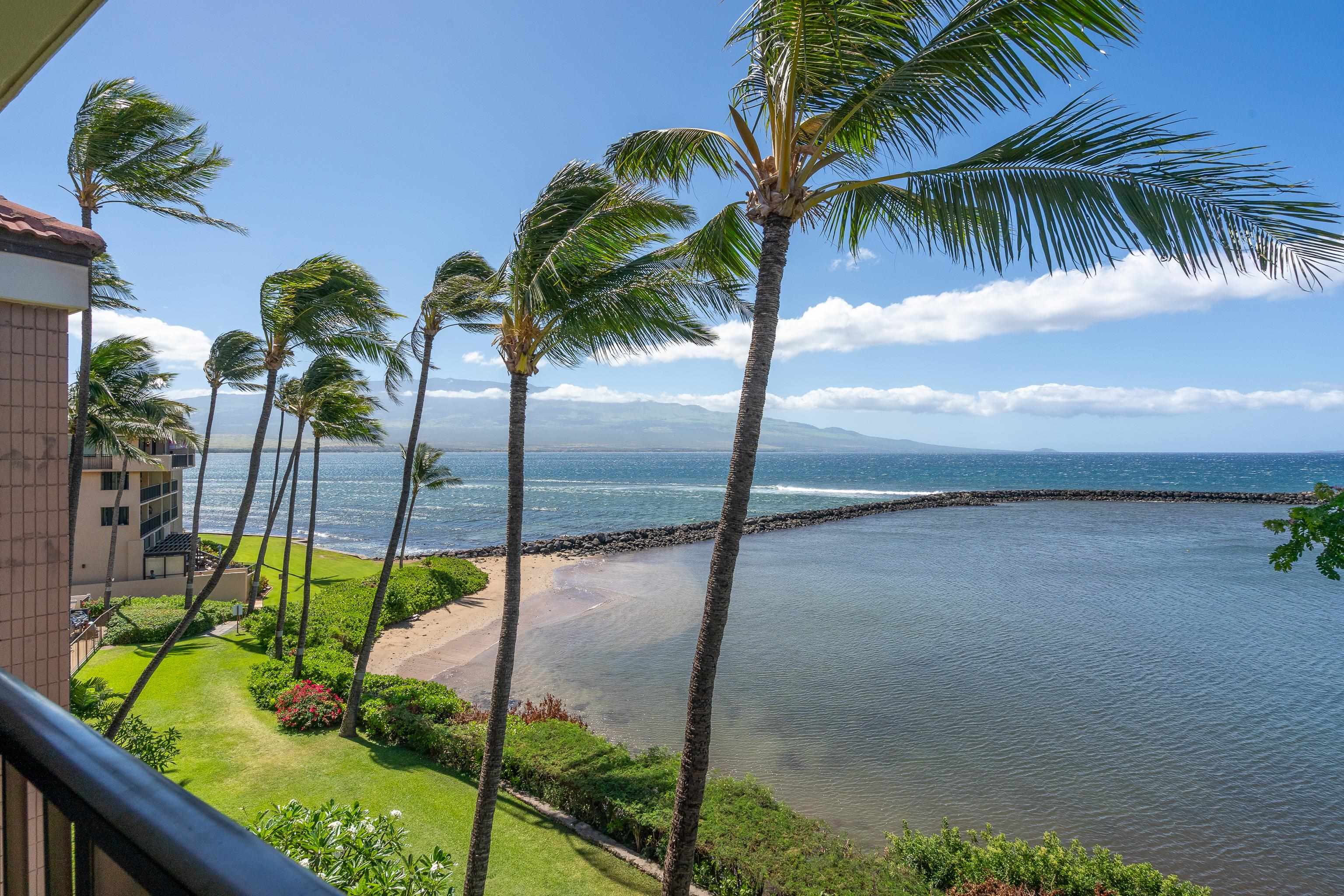 Maalaea Yacht Marina condo # 410, Wailuku, Hawaii - photo 6 of 28
