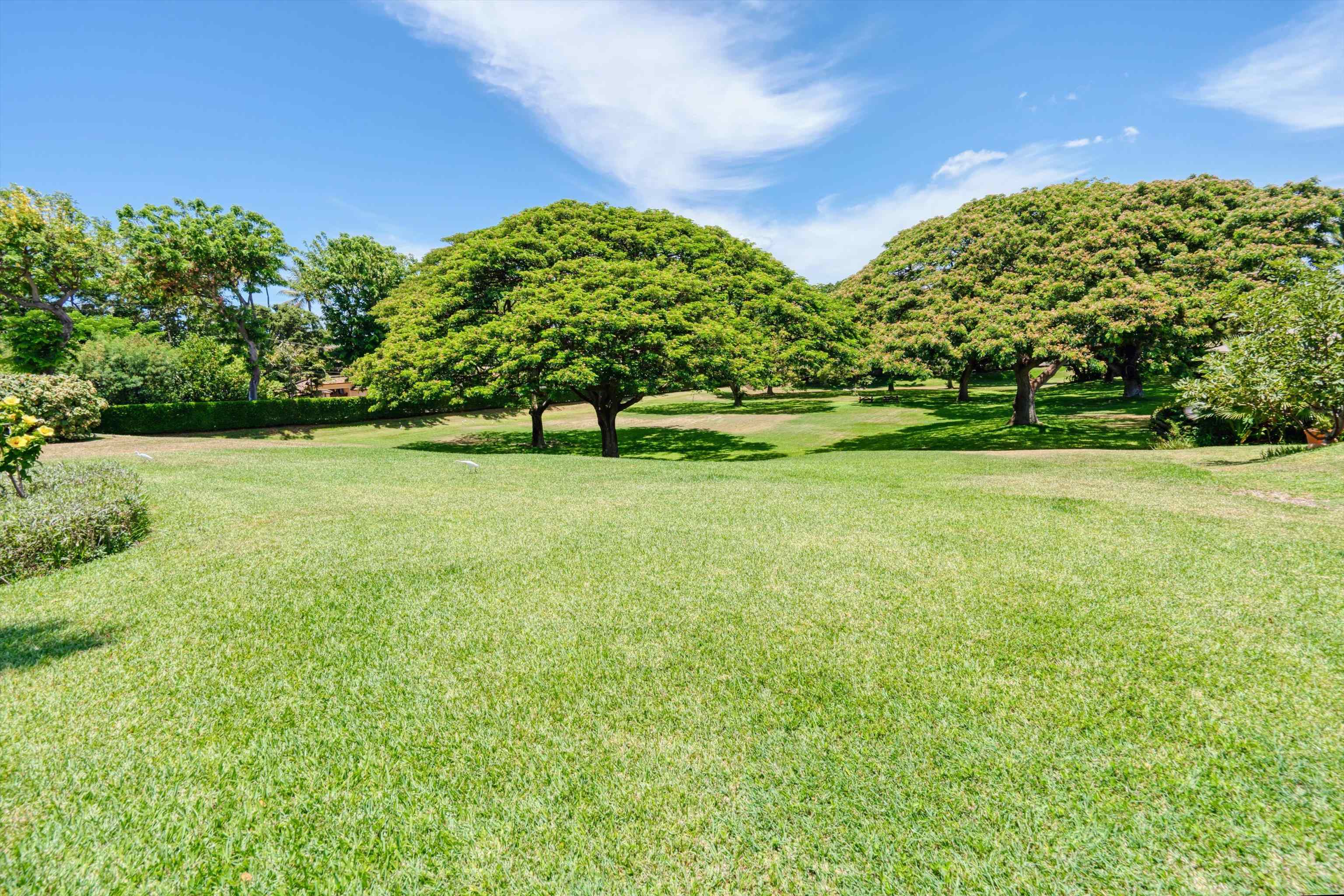 30  Hoawaa Way Keawakapu Beach, Wailea/Makena home - photo 43 of 47