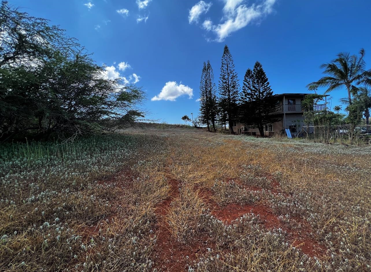 30 Kaiaka Rd 82 Maunaloa, Hi vacant land for sale - photo 3 of 8