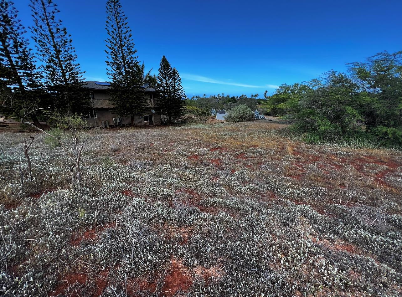 30 Kaiaka Rd 82 Maunaloa, Hi vacant land for sale - photo 4 of 8