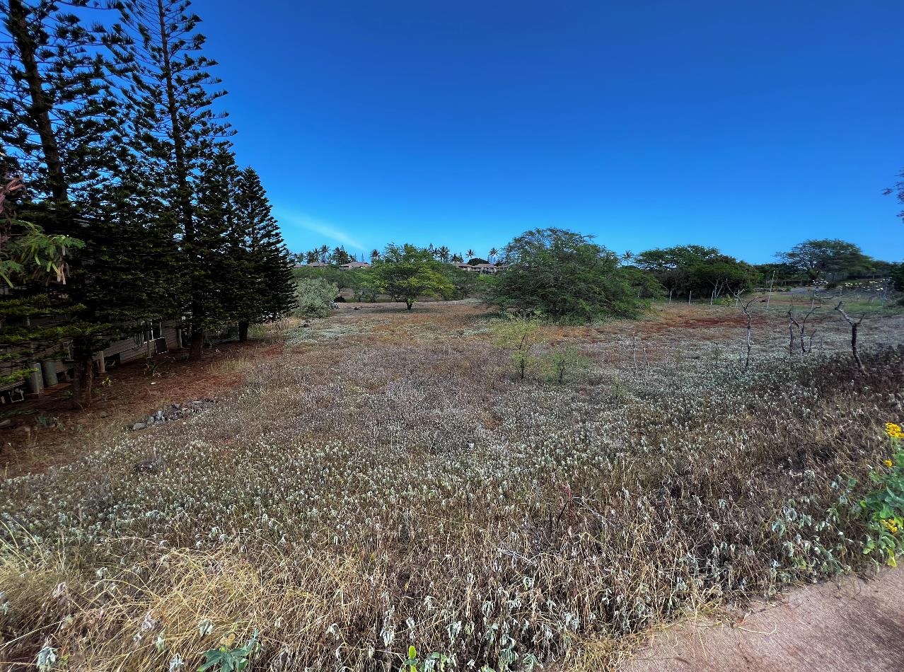 30 Kaiaka Rd 82 Maunaloa, Hi vacant land for sale - photo 6 of 8