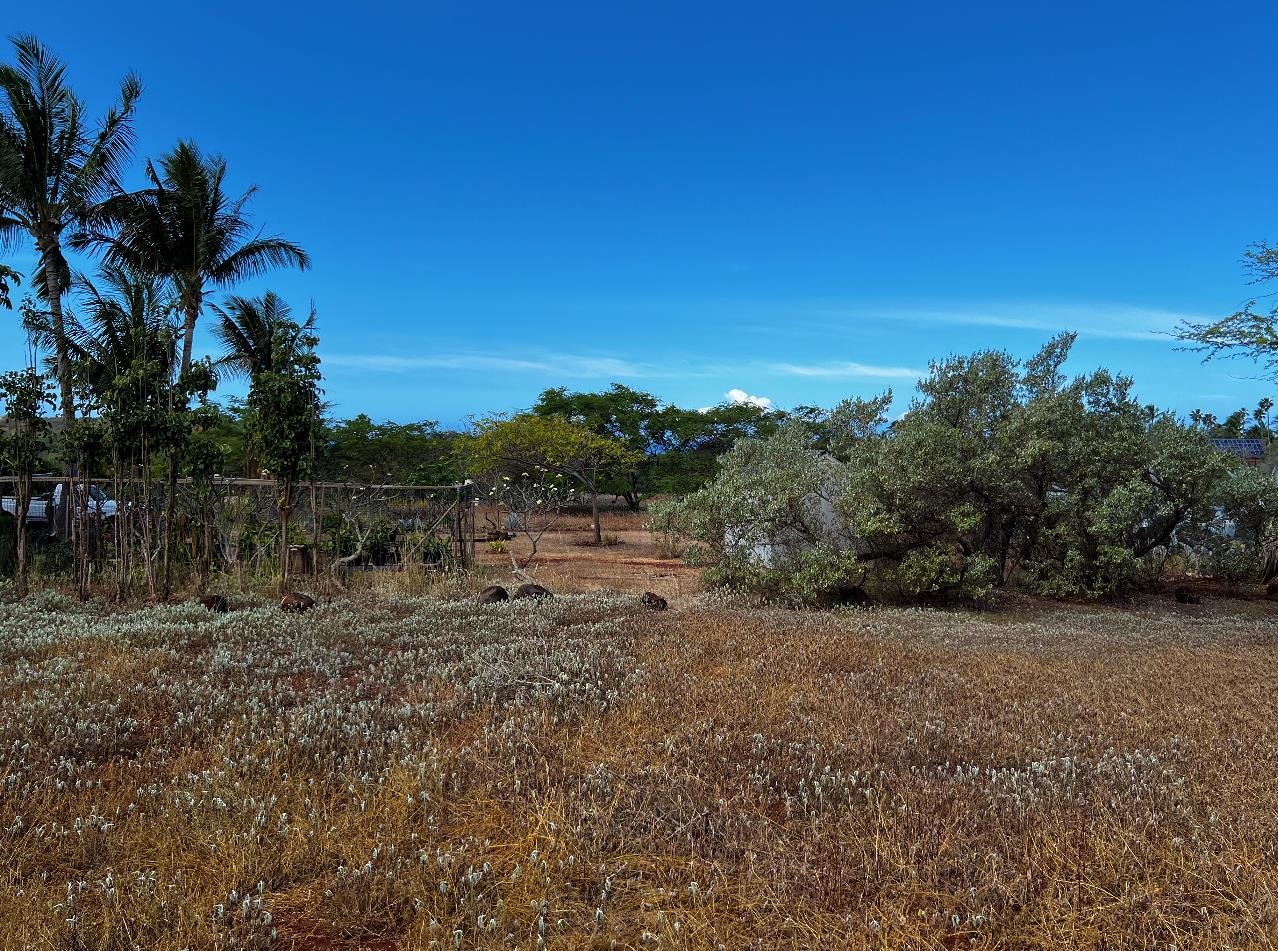 30 Kaiaka Rd 82 Maunaloa, Hi vacant land for sale - photo 7 of 8