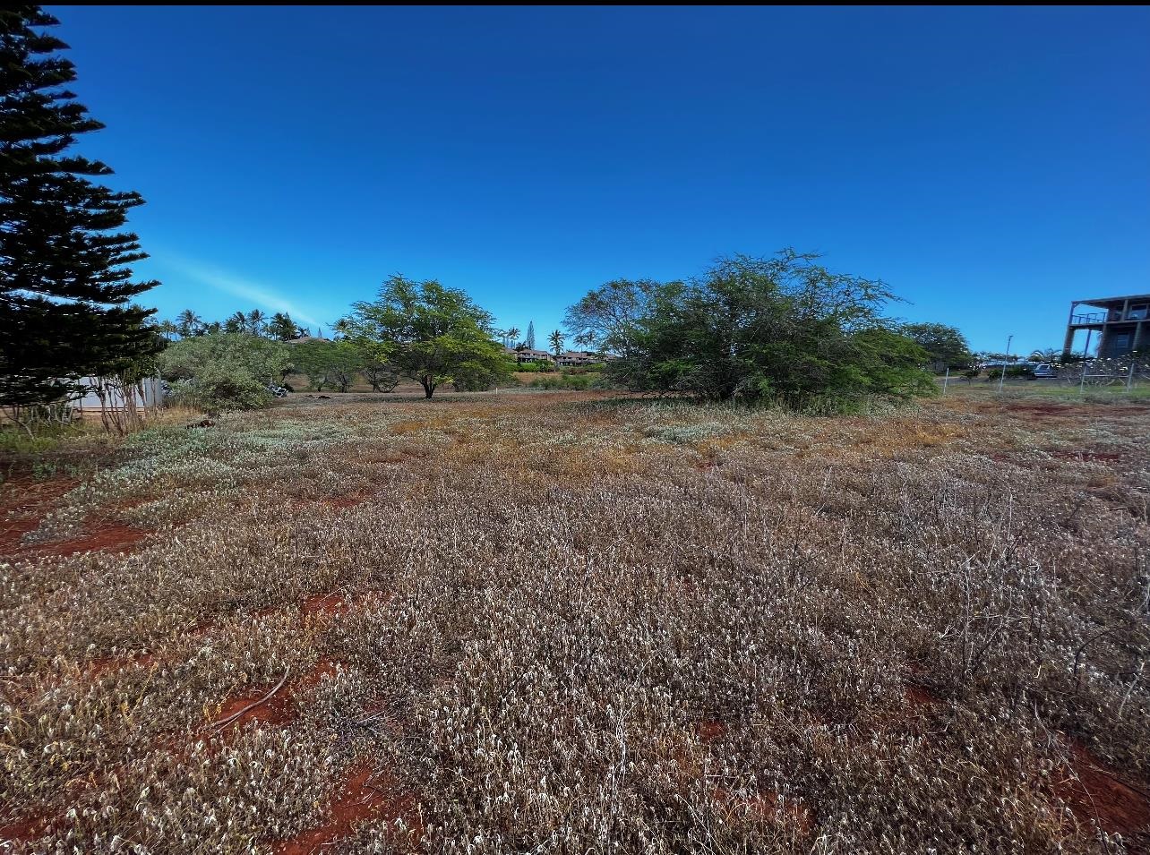 30 Kaiaka Rd 82 Maunaloa, Hi vacant land for sale - photo 8 of 8