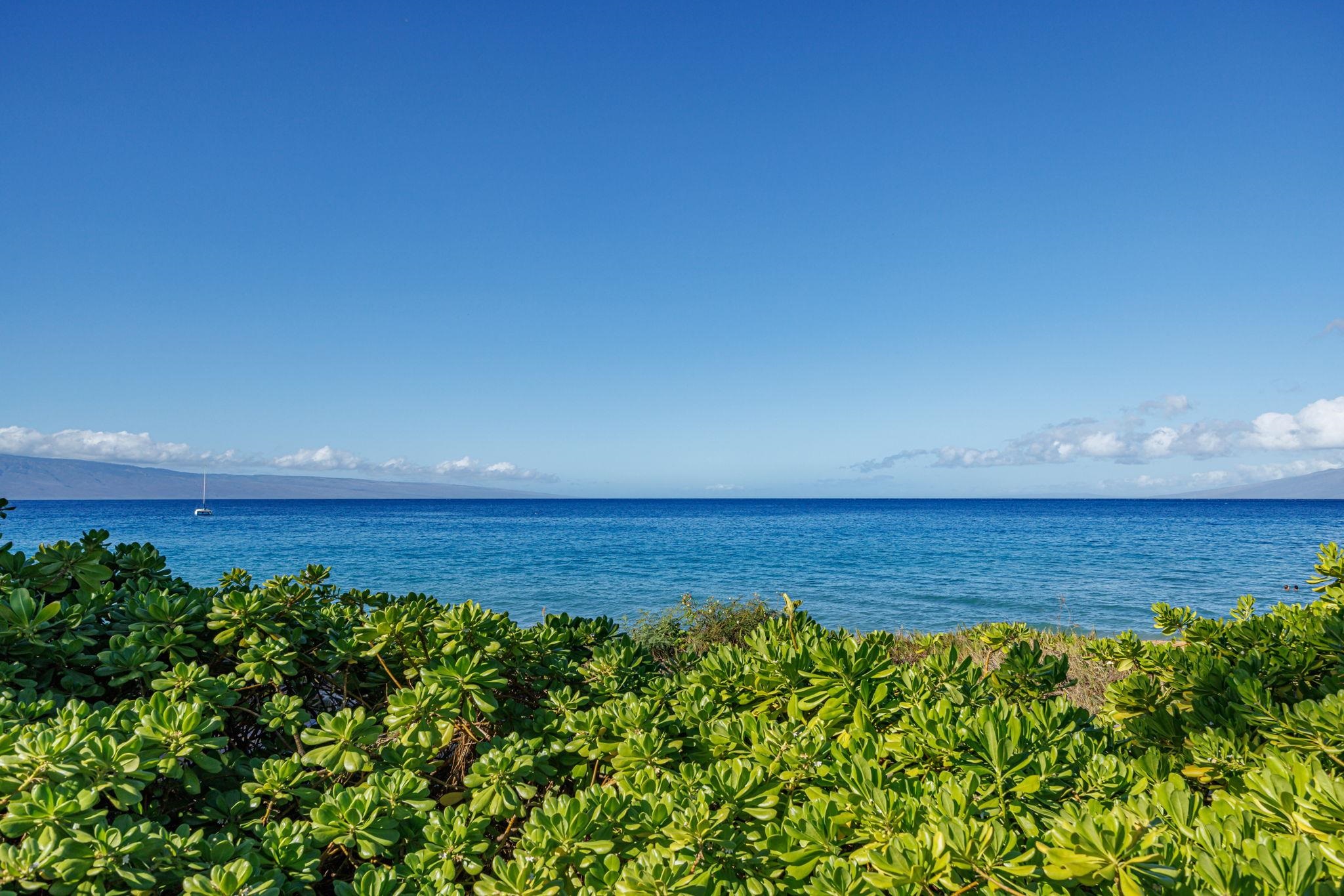 30 Kai Ala Dr  Lahaina, Hi vacant land for sale - photo 4 of 9