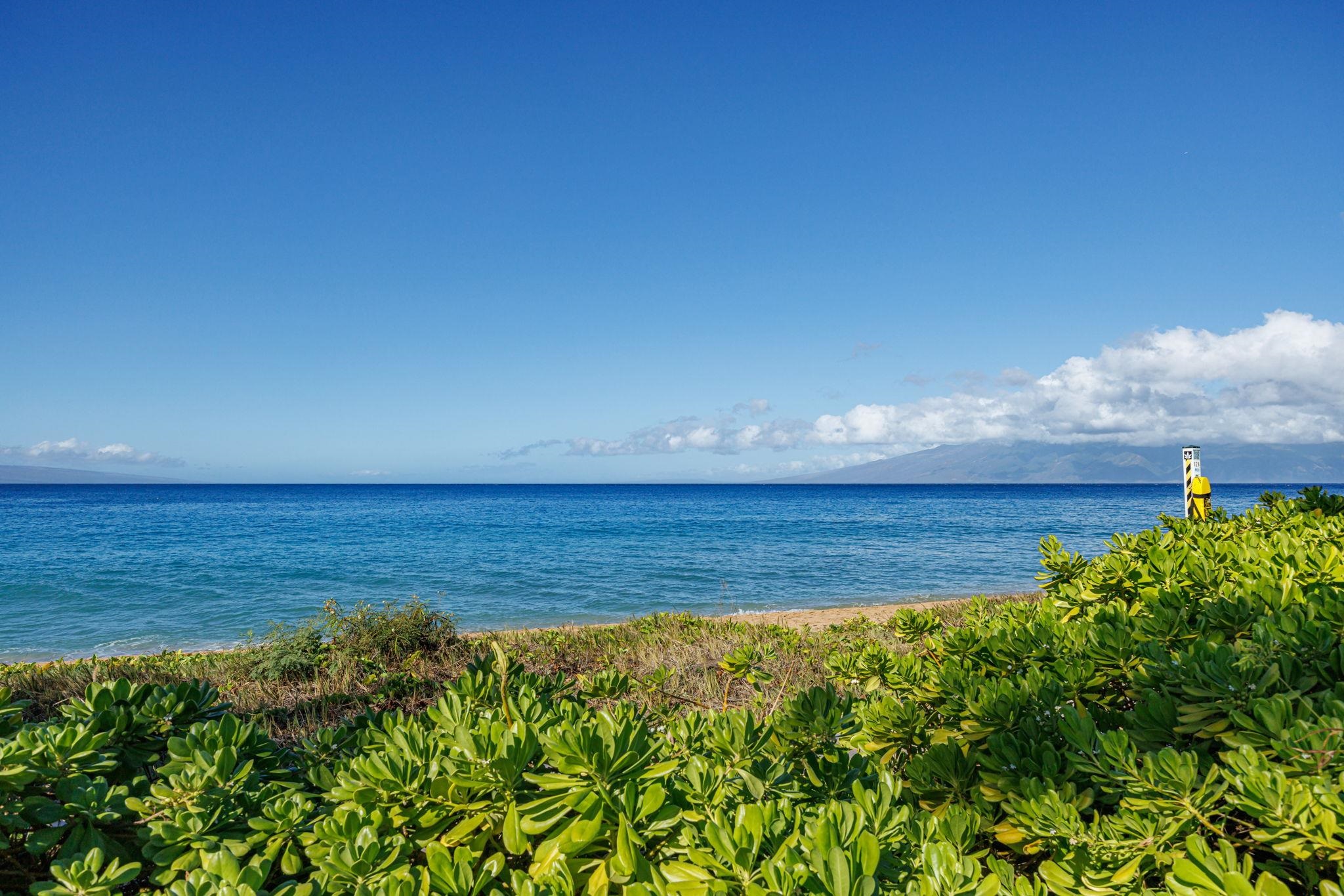 30 Kai Ala Dr  Lahaina, Hi vacant land for sale - photo 5 of 9