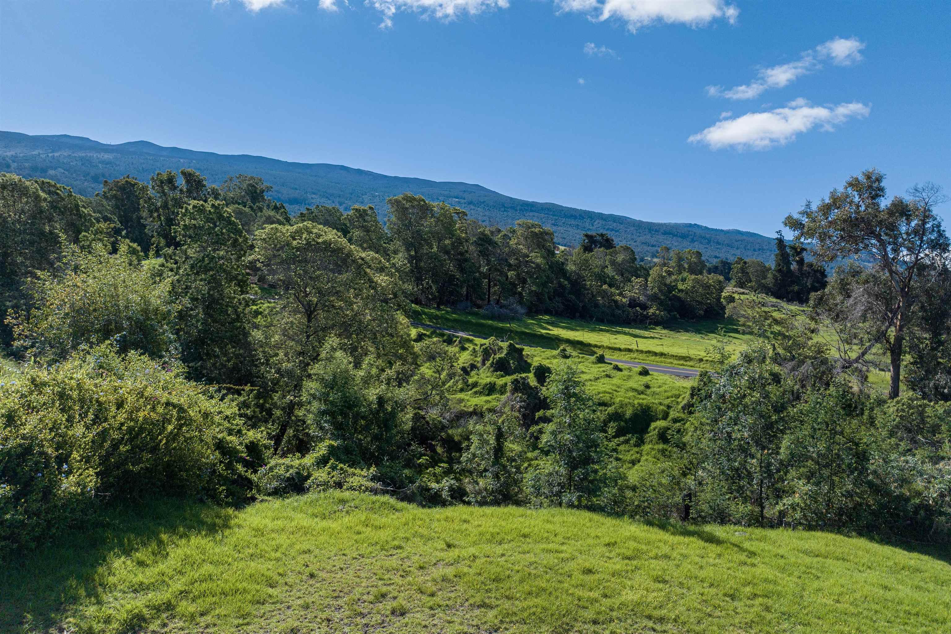 30 Kamila St  Kula, Hi vacant land for sale - photo 16 of 18