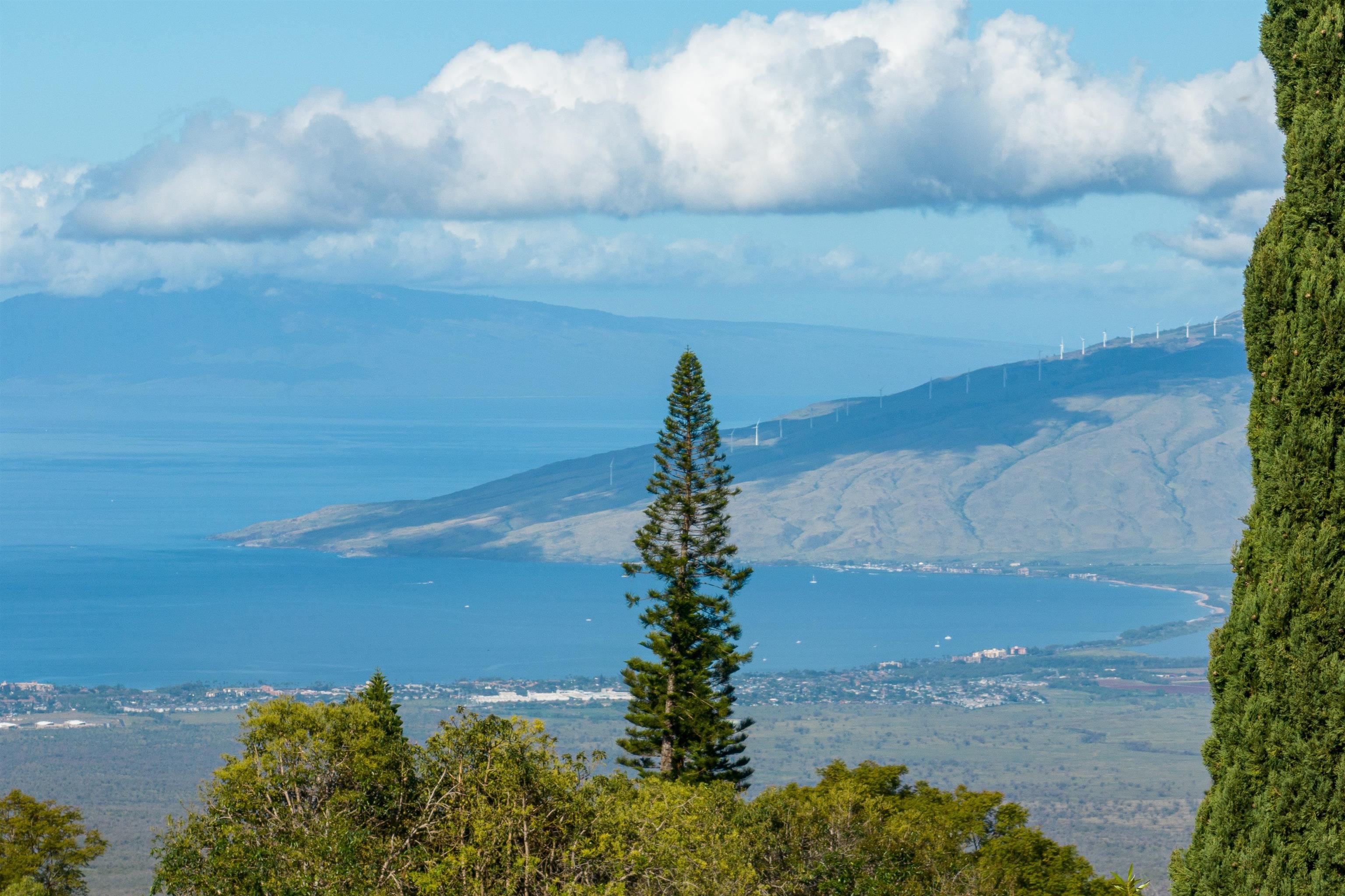 30 Kamila St  Kula, Hi vacant land for sale - photo 5 of 18