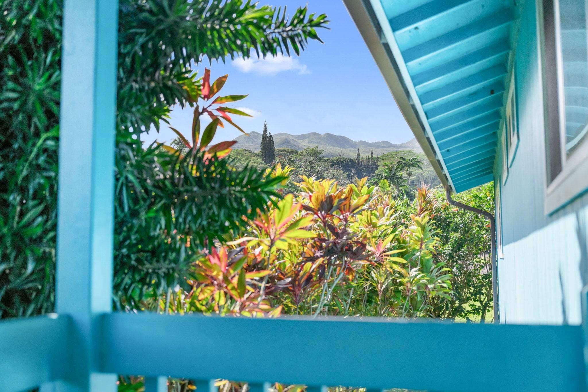 30  Kawai Ola Pl , Hana home - photo 21 of 26