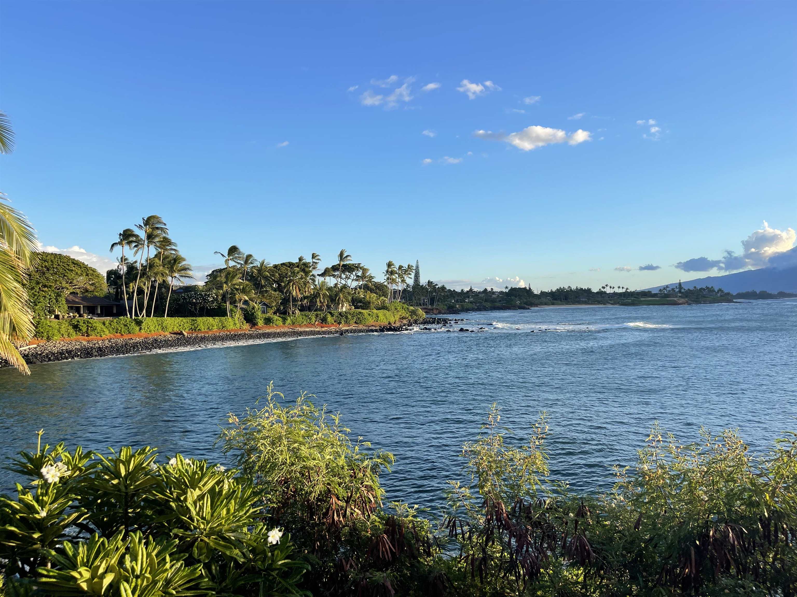 30  Malie Pl Kuau, Spreckelsville/Paia/Kuau home - photo 50 of 50