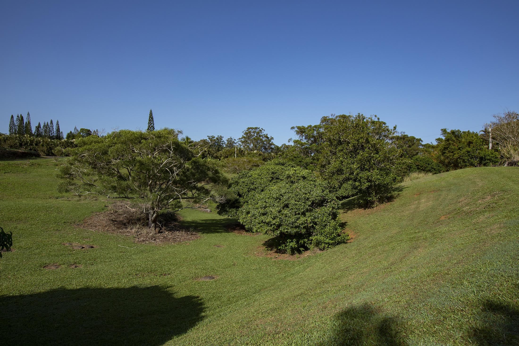 30  Mamao Pl 5 Corners, Haiku home - photo 34 of 50