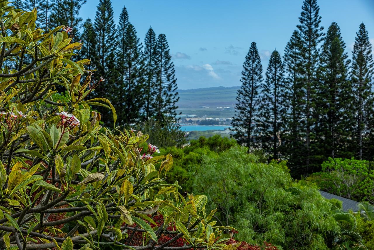 30  Maunalei Pl Wailuku Country Estates, Wailuku home - photo 2 of 31