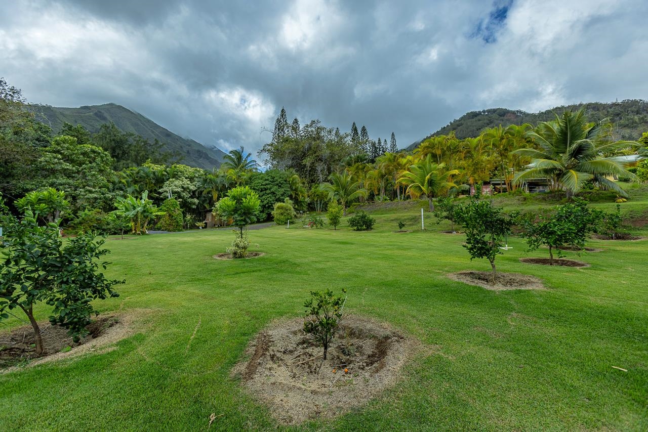 30  Maunalei Pl Wailuku Country Estates, Wailuku home - photo 20 of 31