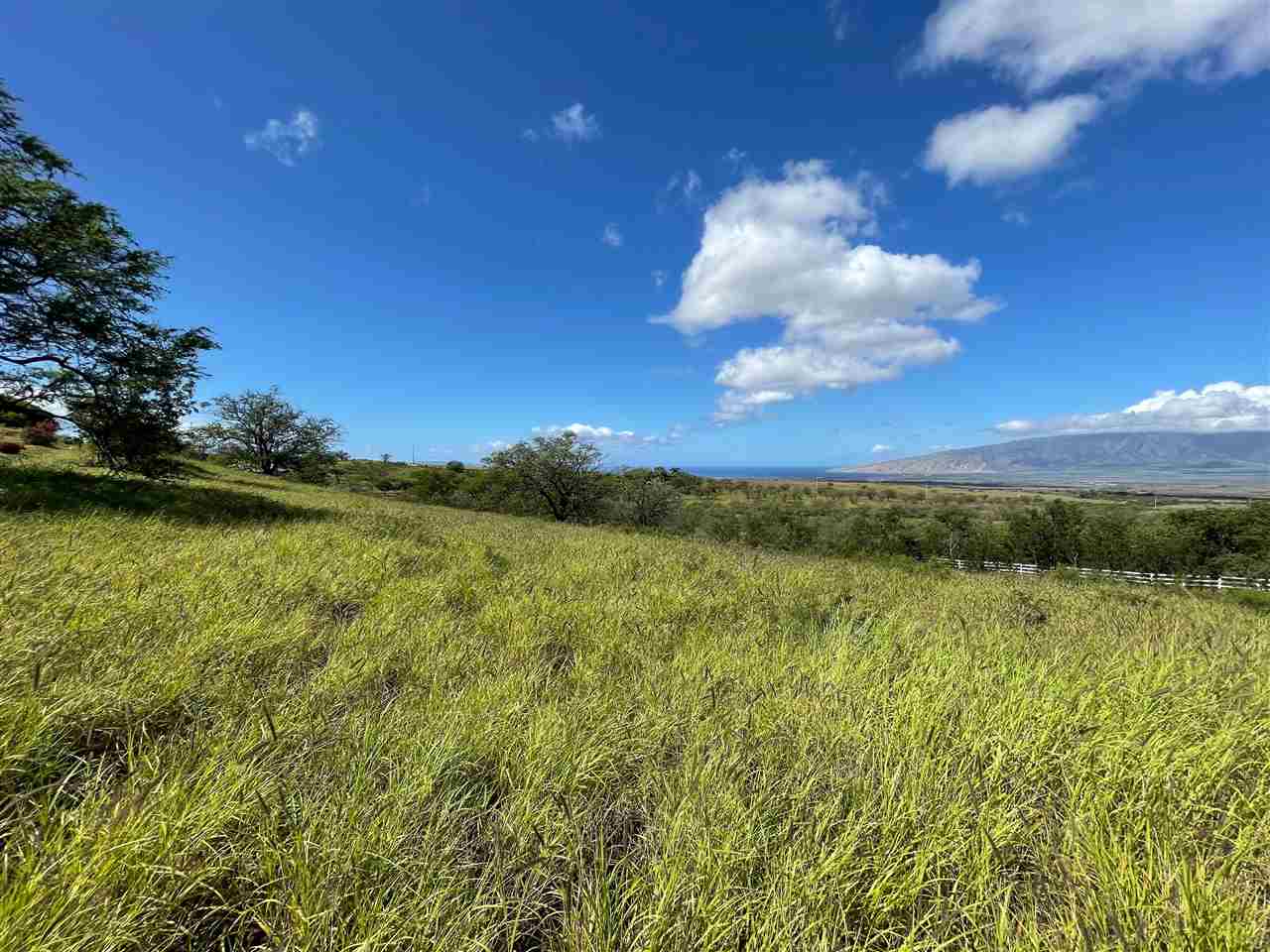 30 Opalipali Pl  Kula, Hi vacant land for sale - photo 10 of 20